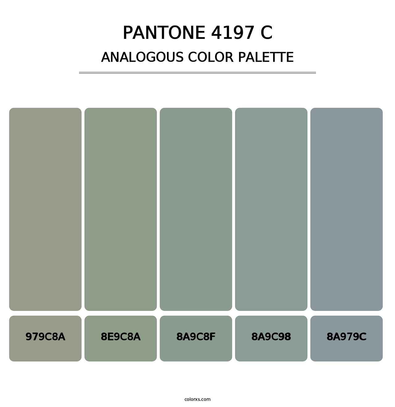 PANTONE 4197 C - Analogous Color Palette