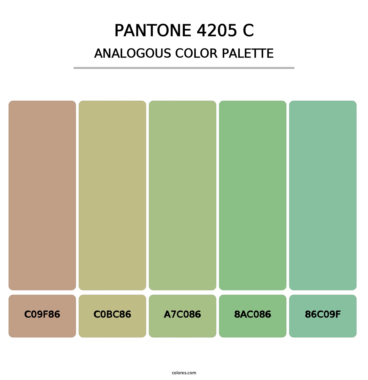PANTONE 4205 C - Analogous Color Palette