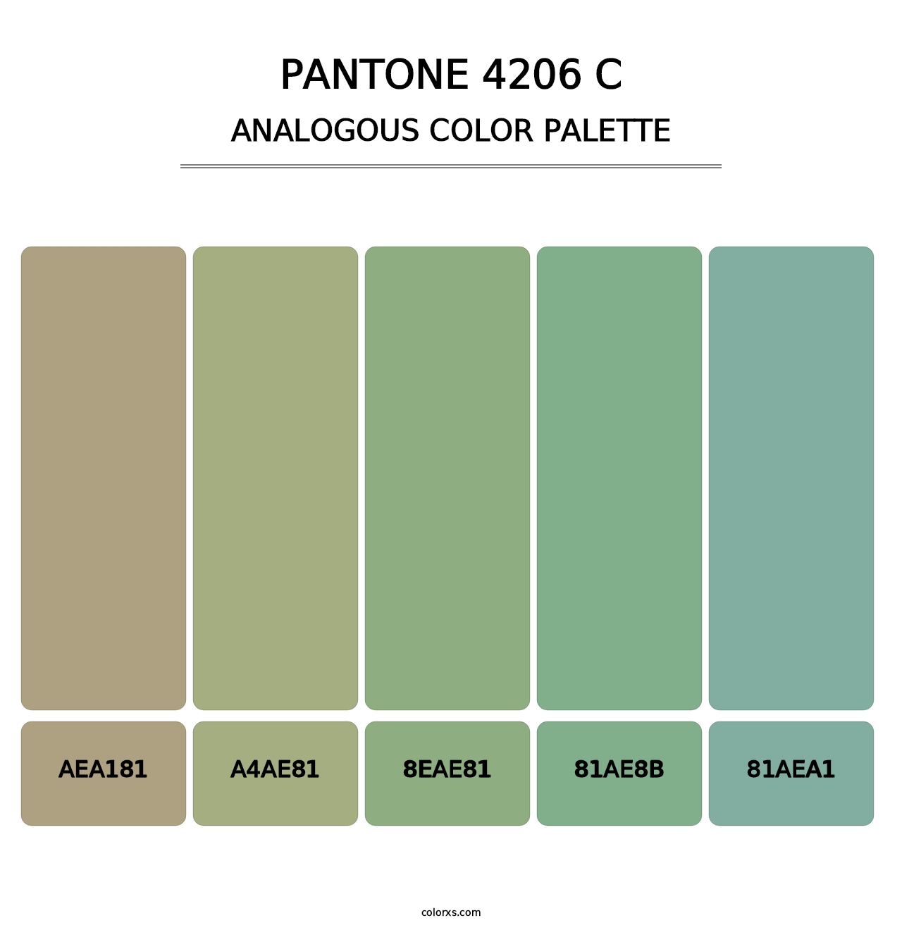 PANTONE 4206 C - Analogous Color Palette