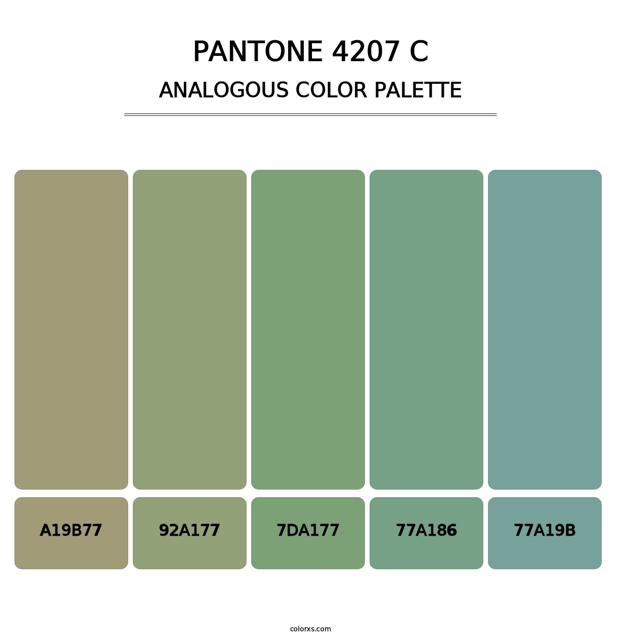 PANTONE 4207 C - Analogous Color Palette