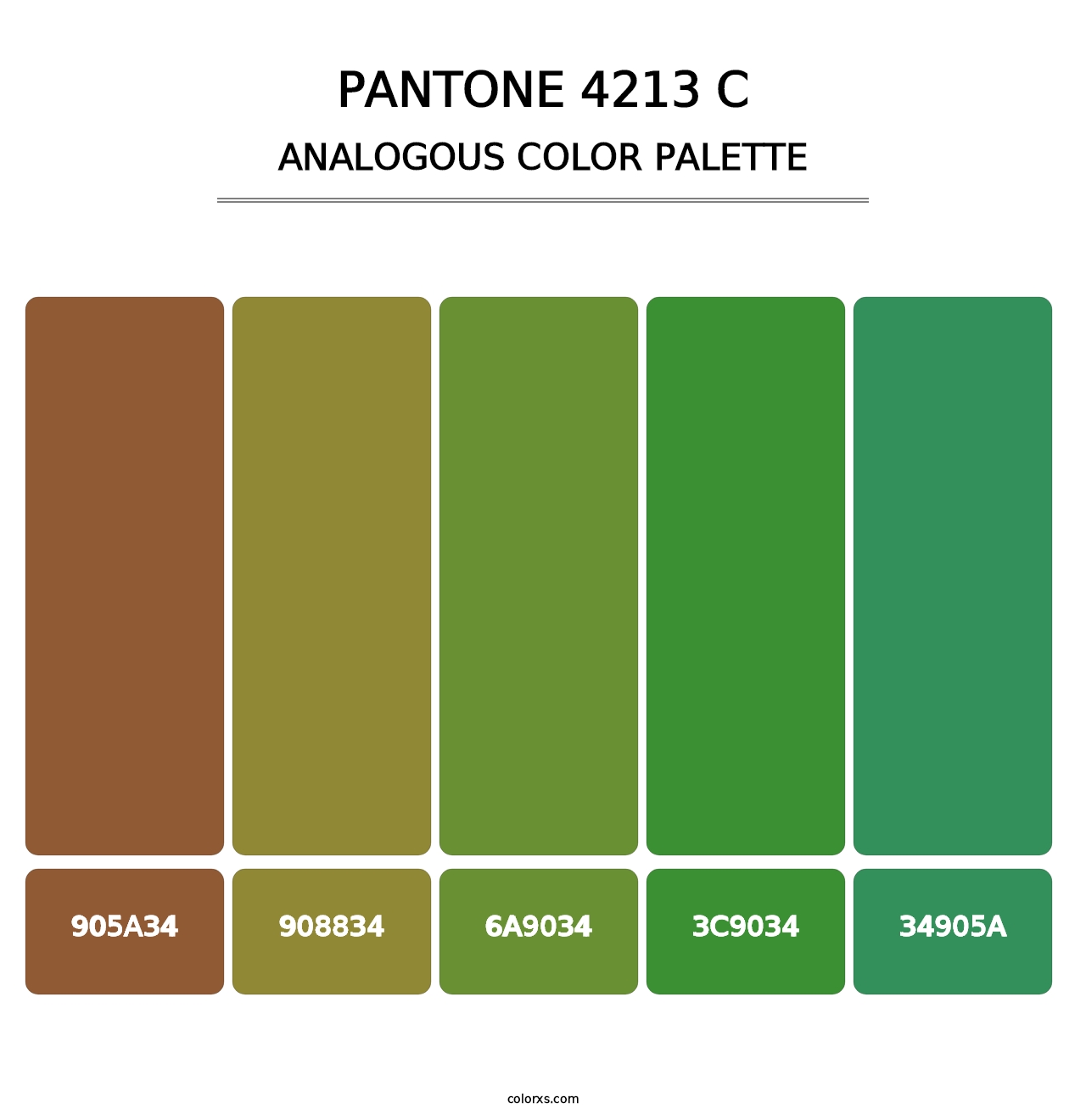PANTONE 4213 C - Analogous Color Palette