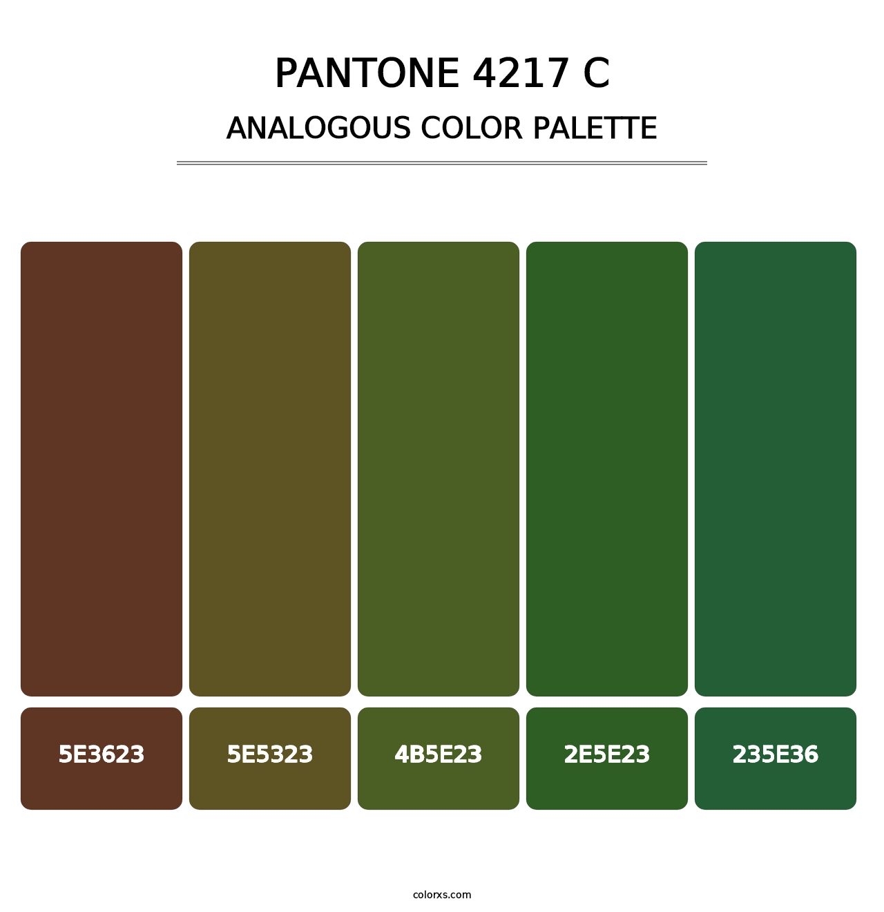 PANTONE 4217 C - Analogous Color Palette