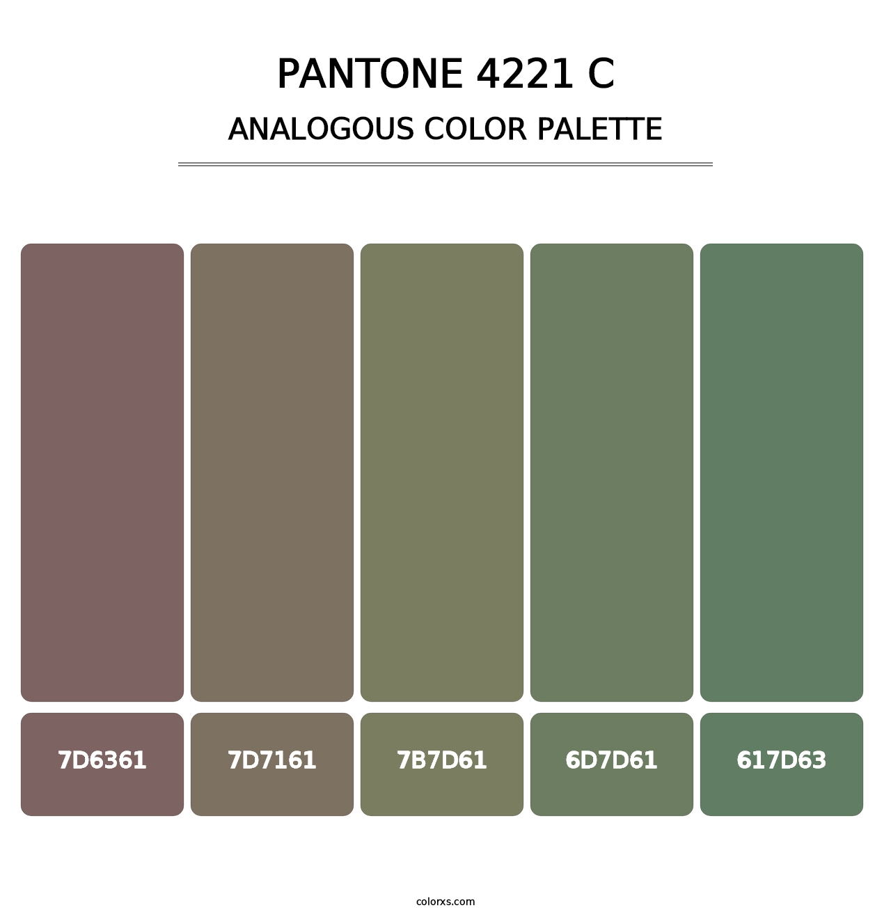PANTONE 4221 C - Analogous Color Palette
