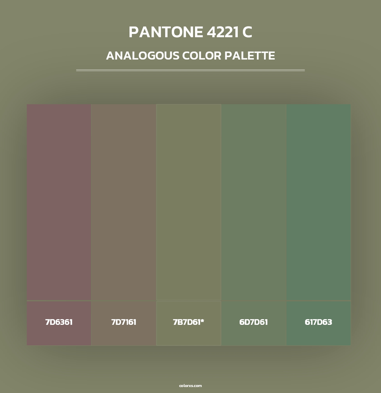 PANTONE 4221 C - Analogous Color Palette