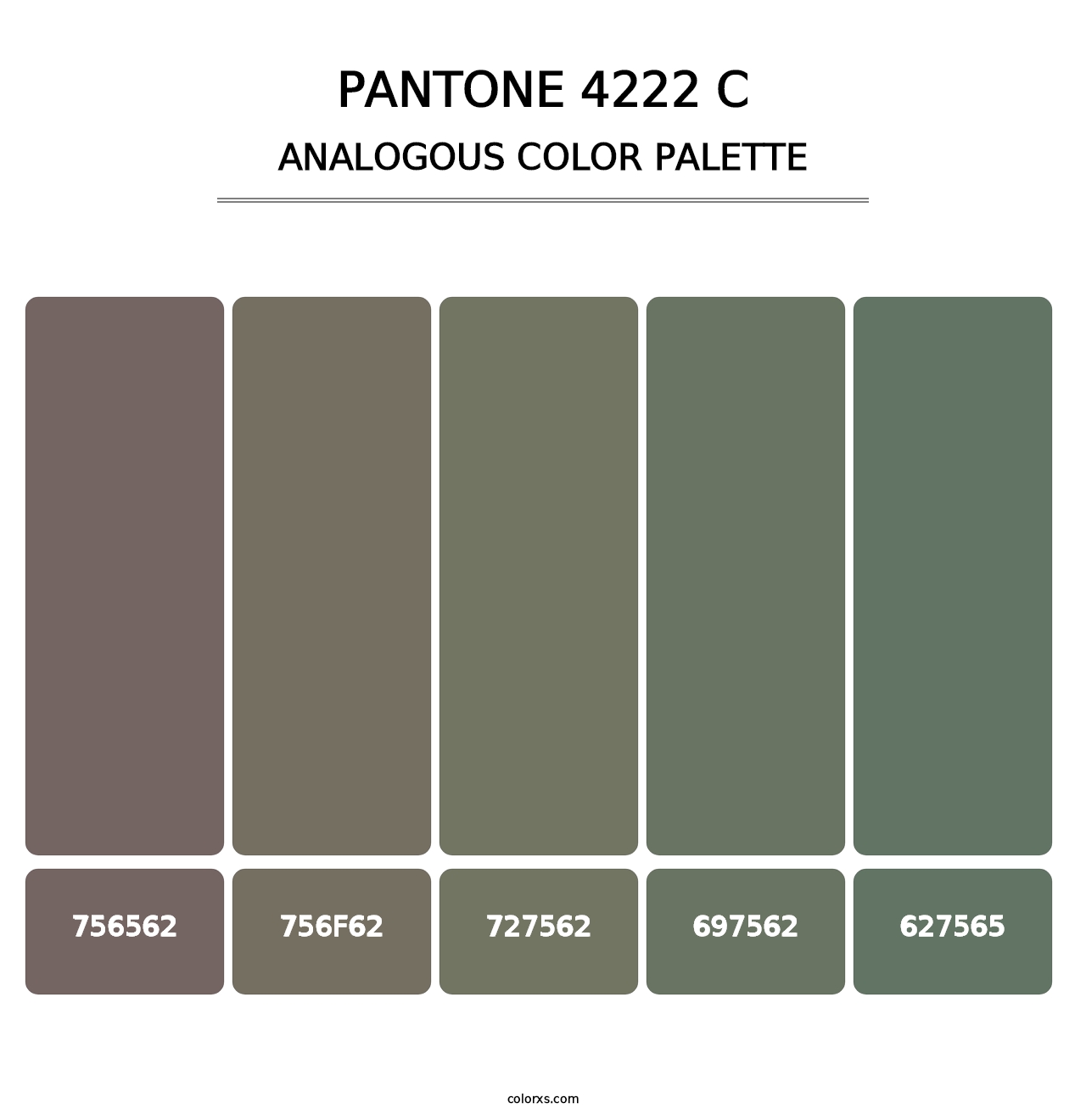 PANTONE 4222 C - Analogous Color Palette