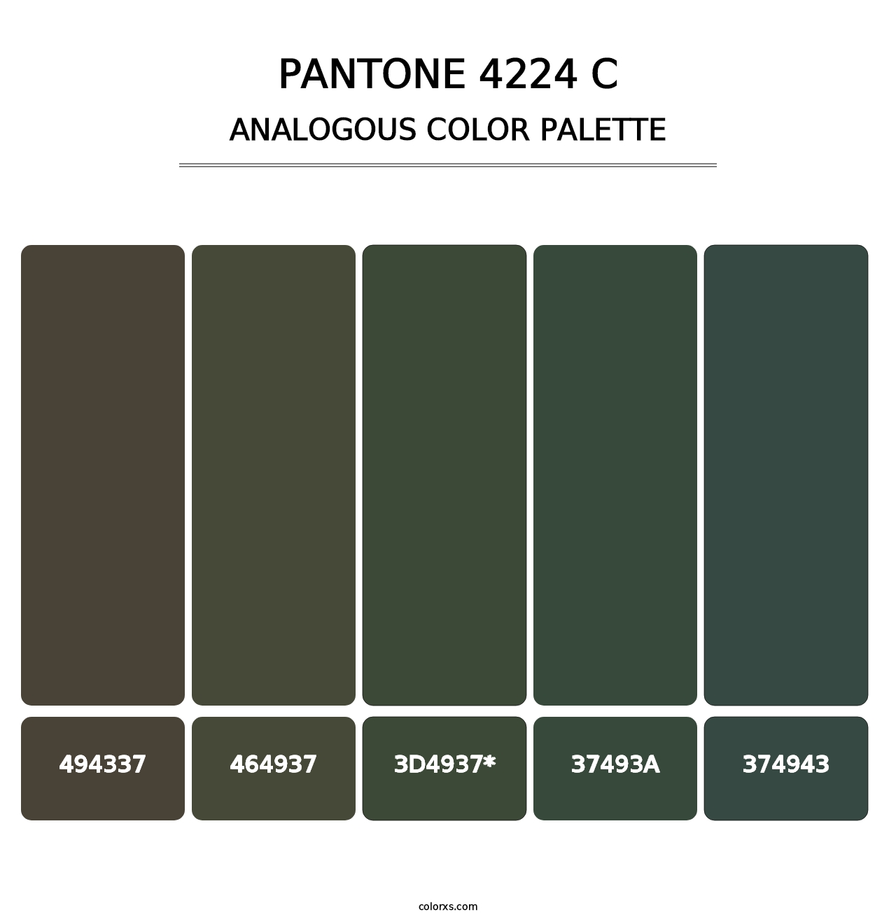 PANTONE 4224 C - Analogous Color Palette