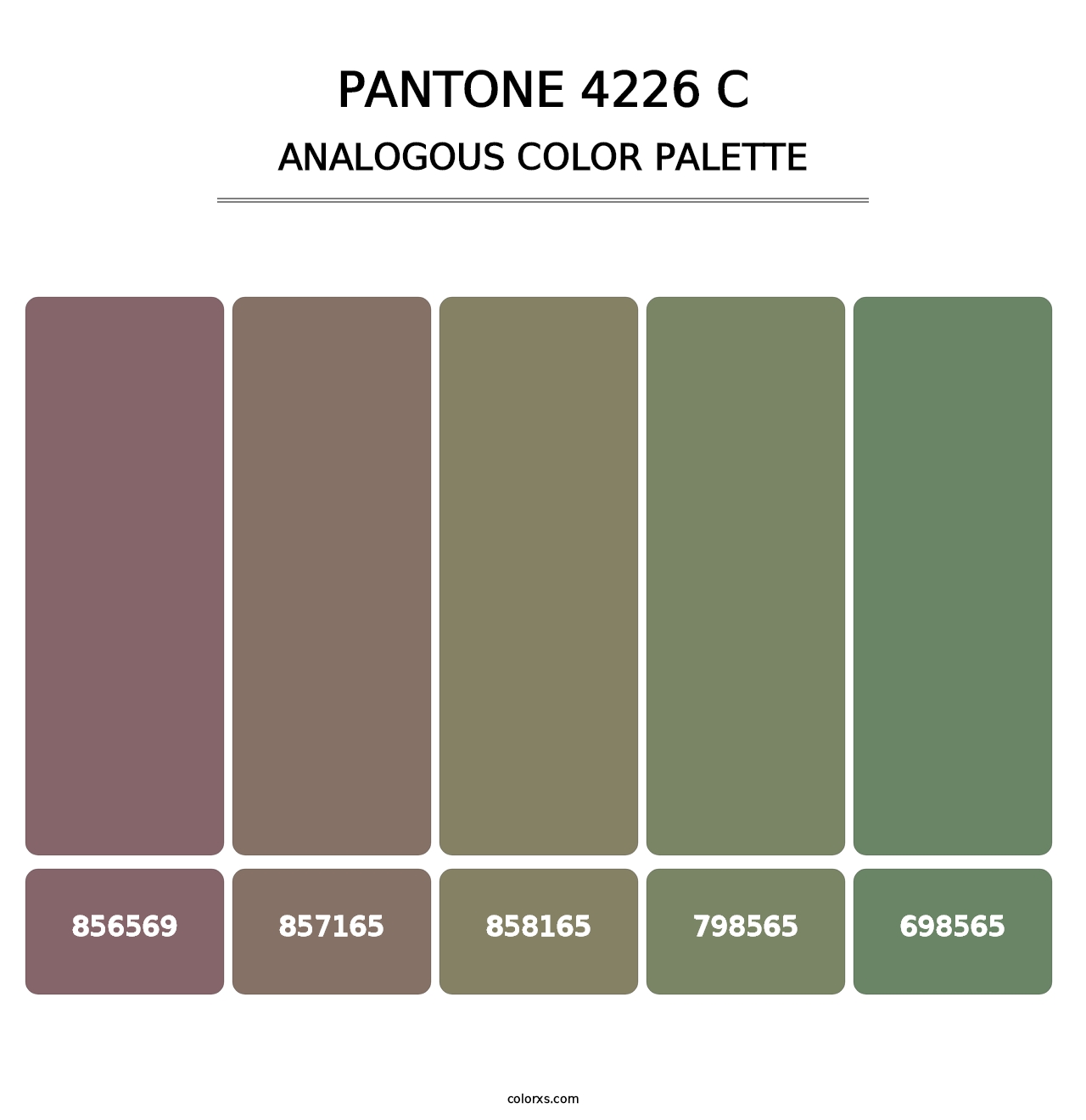 PANTONE 4226 C - Analogous Color Palette