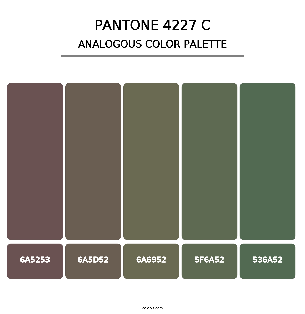 PANTONE 4227 C - Analogous Color Palette