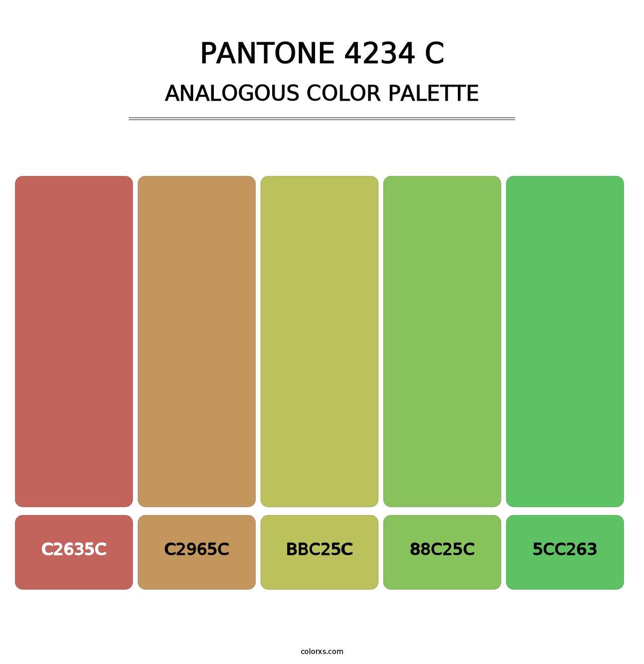 PANTONE 4234 C - Analogous Color Palette