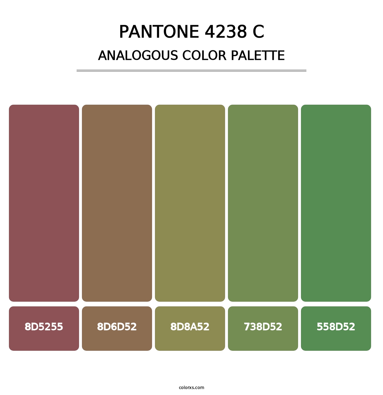 PANTONE 4238 C - Analogous Color Palette