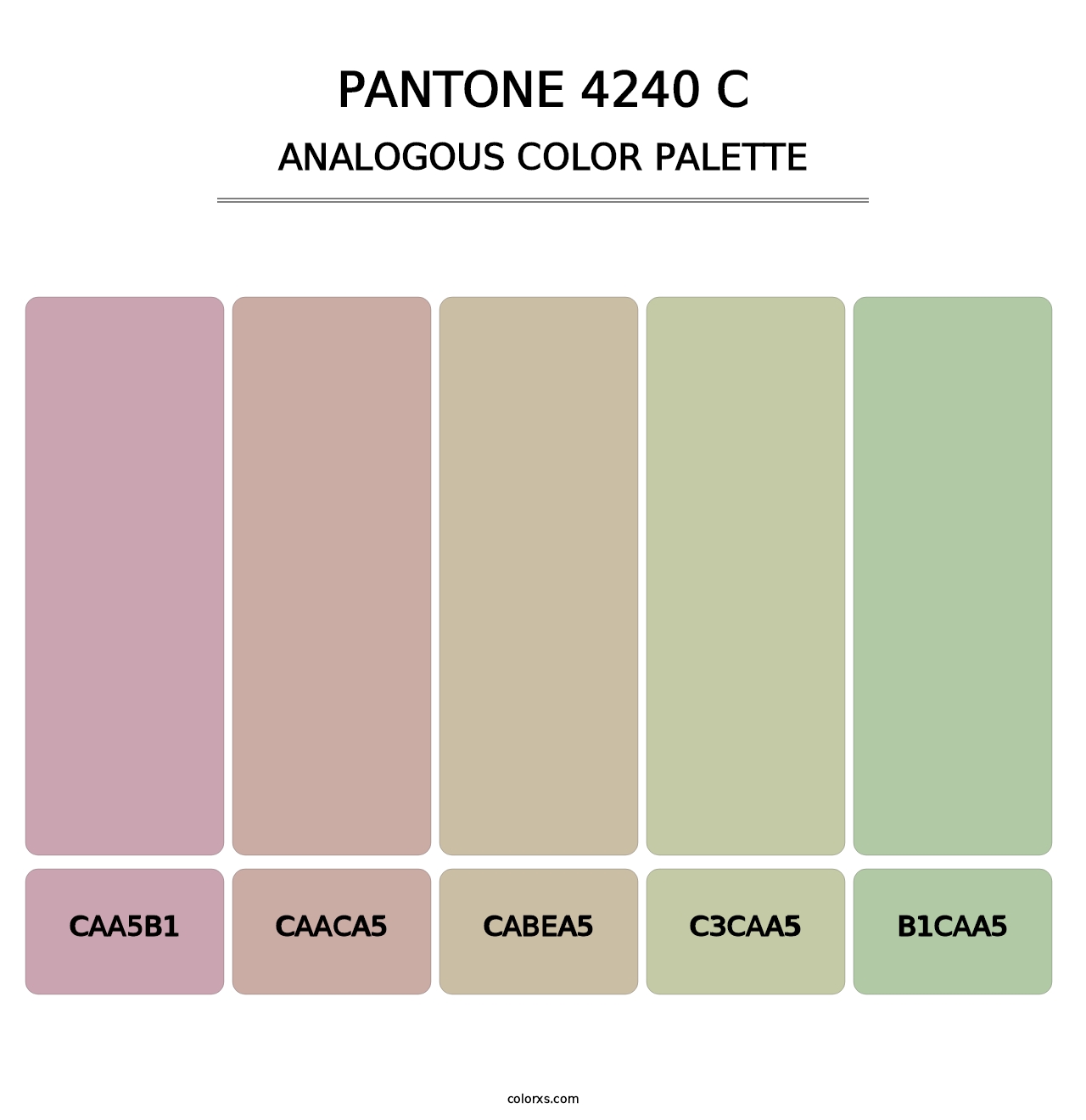 PANTONE 4240 C - Analogous Color Palette