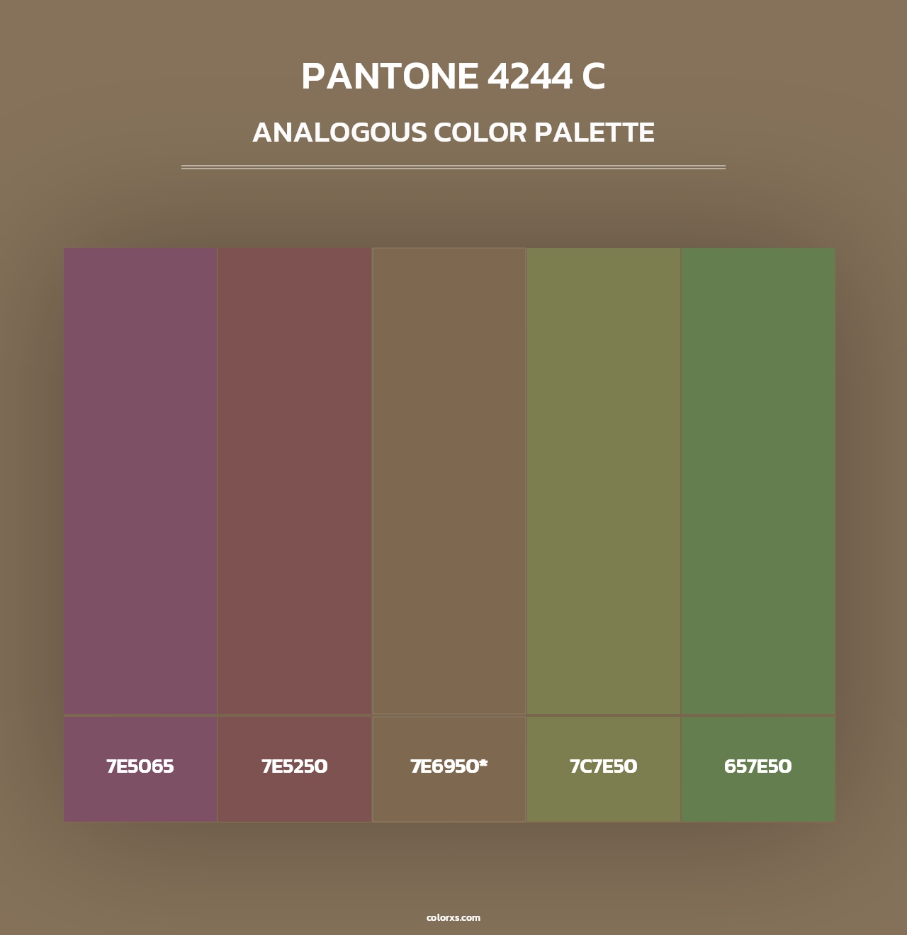 PANTONE 4244 C - Analogous Color Palette