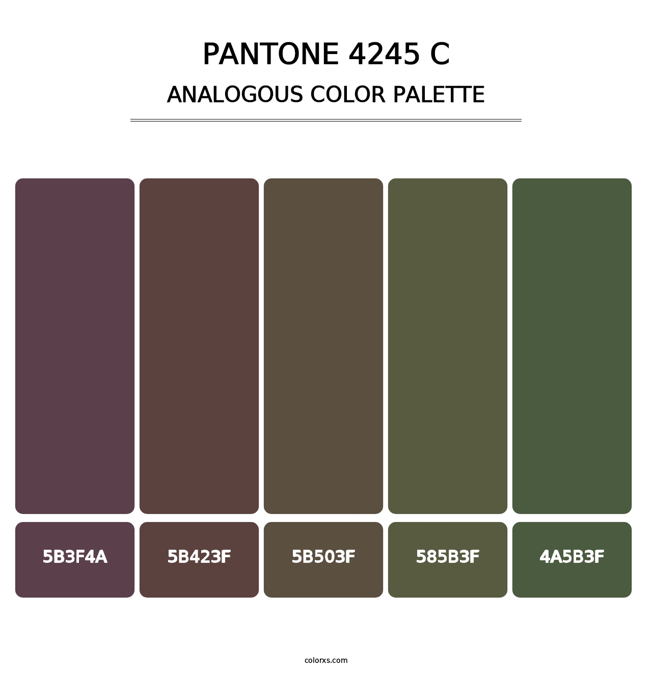 PANTONE 4245 C - Analogous Color Palette