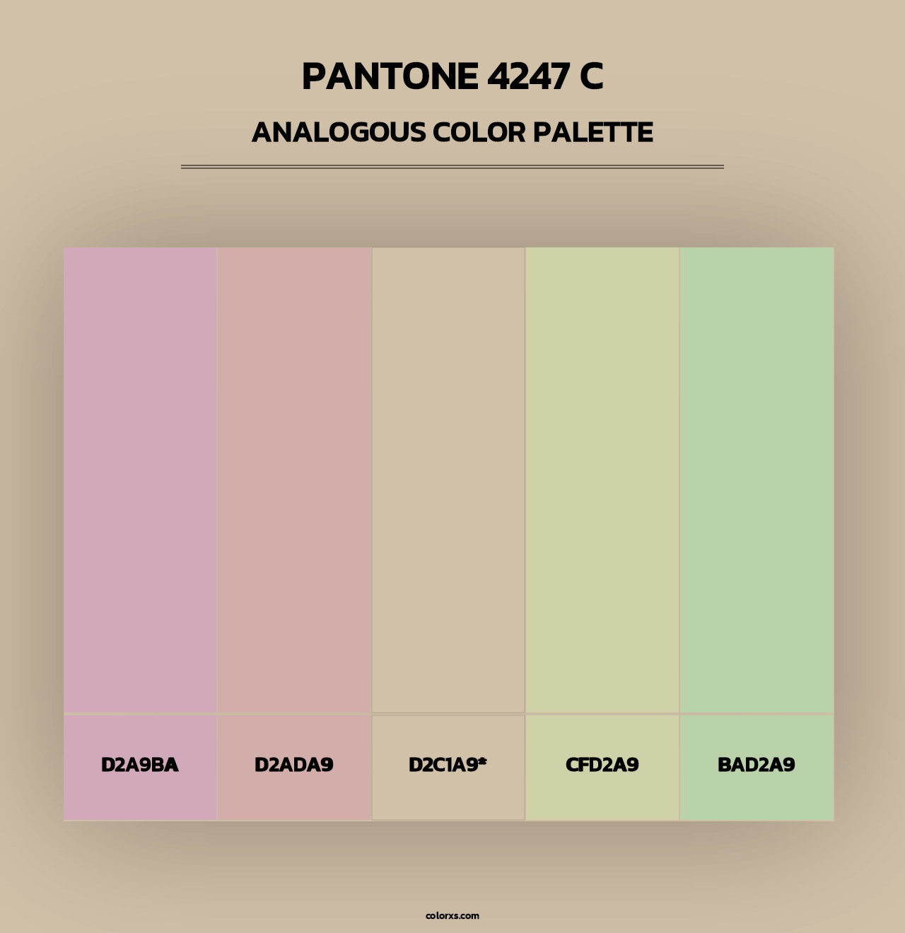 PANTONE 4247 C - Analogous Color Palette