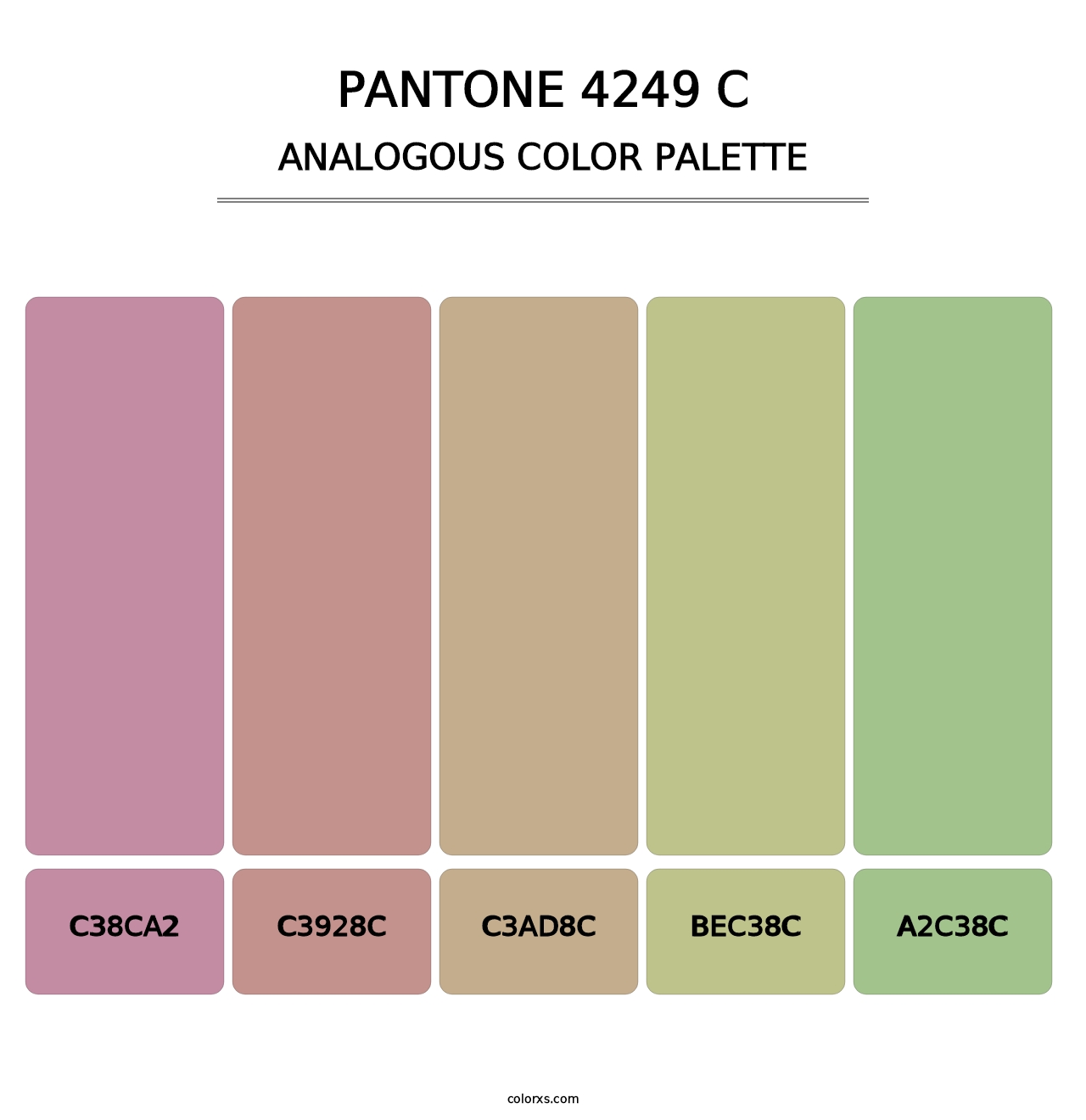 PANTONE 4249 C - Analogous Color Palette