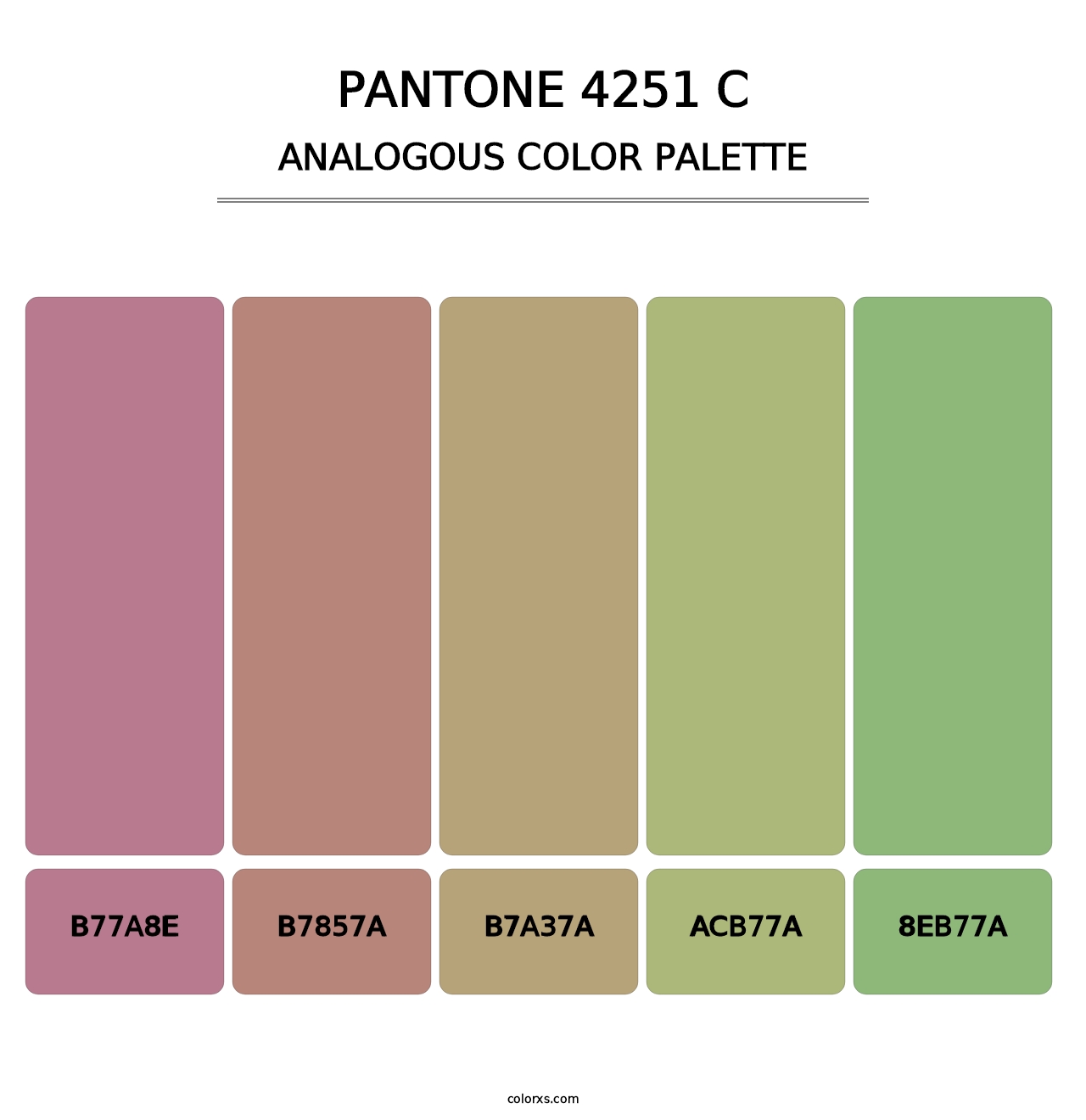 PANTONE 4251 C - Analogous Color Palette
