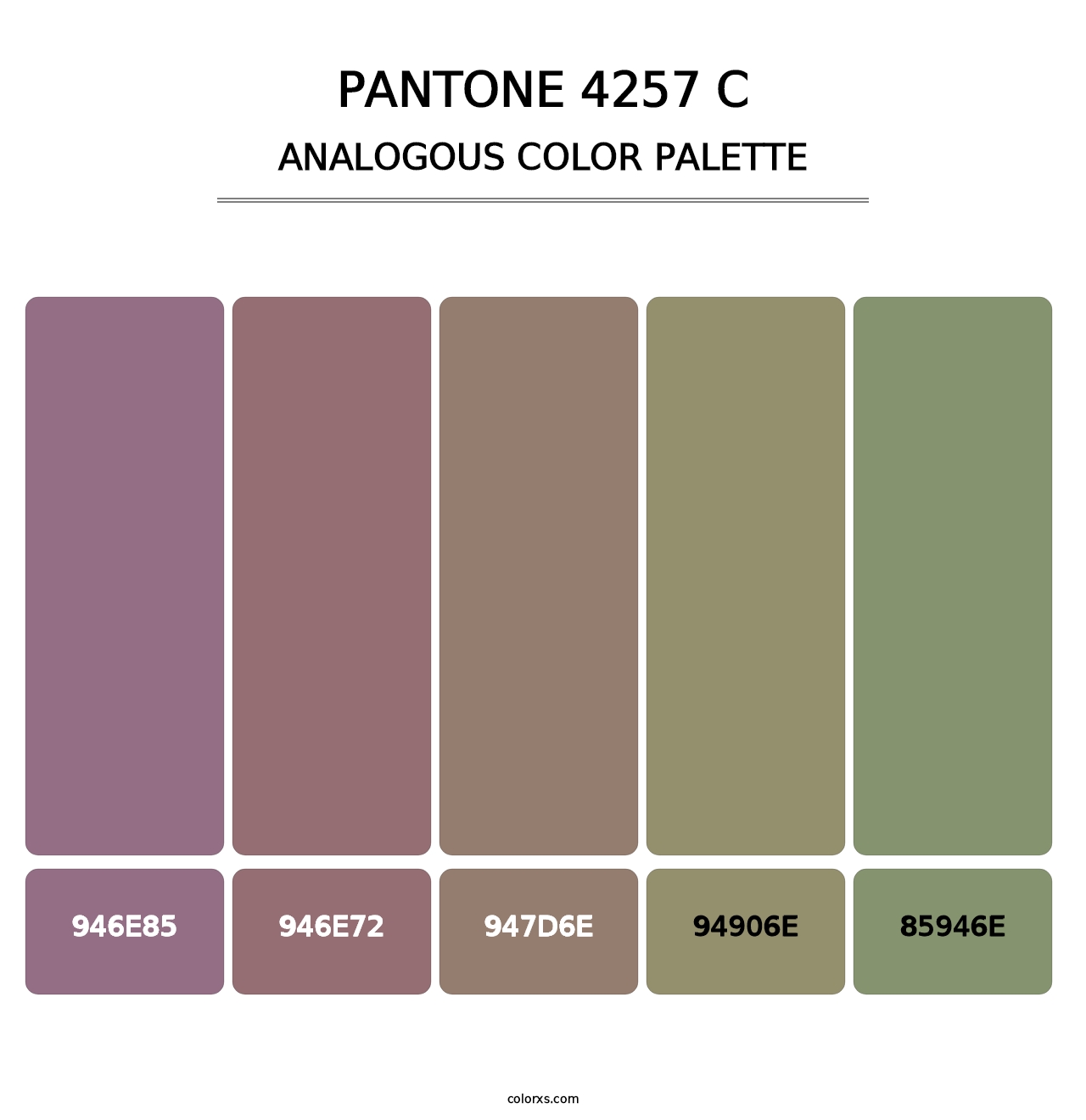 PANTONE 4257 C - Analogous Color Palette