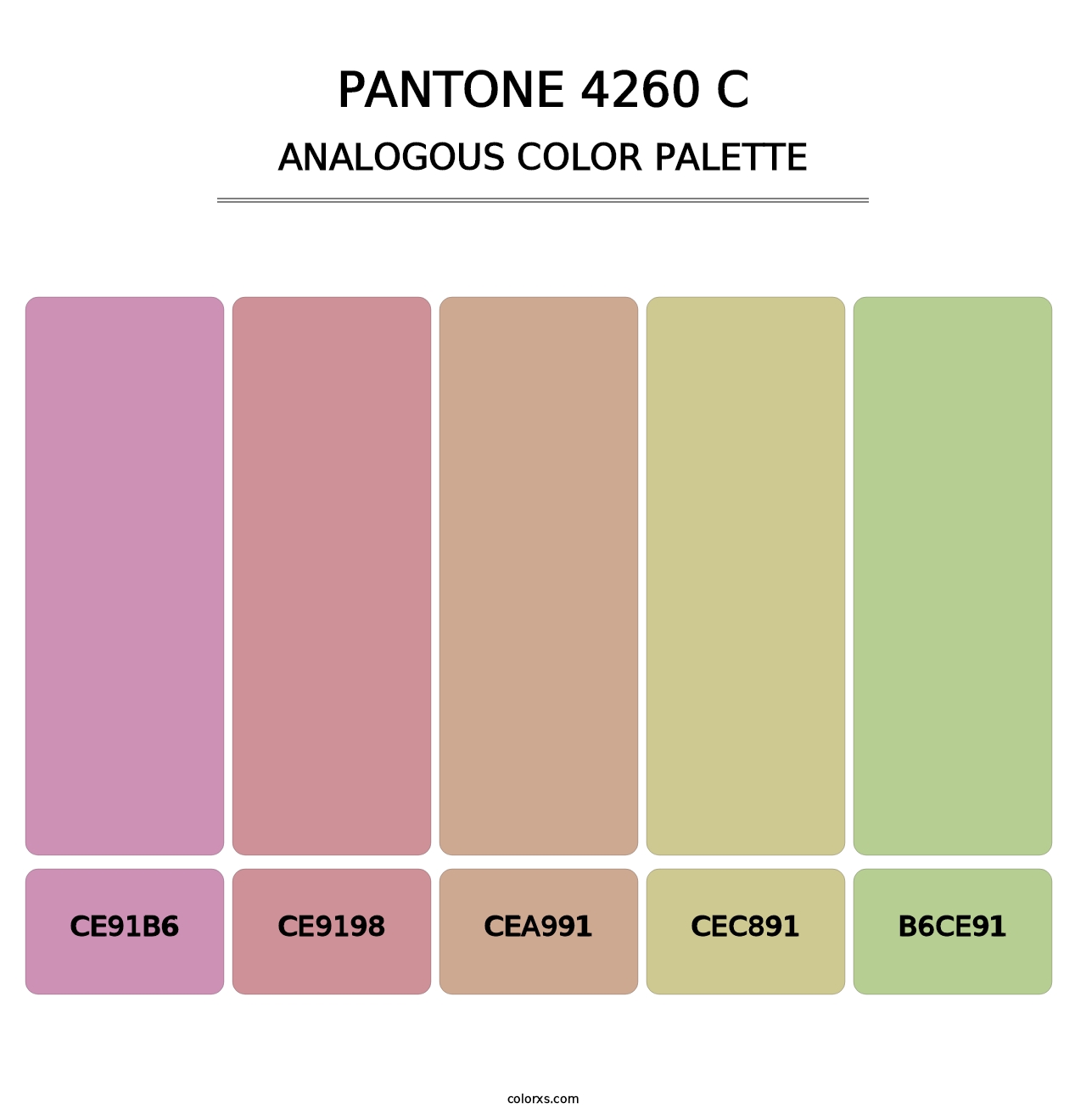 PANTONE 4260 C - Analogous Color Palette