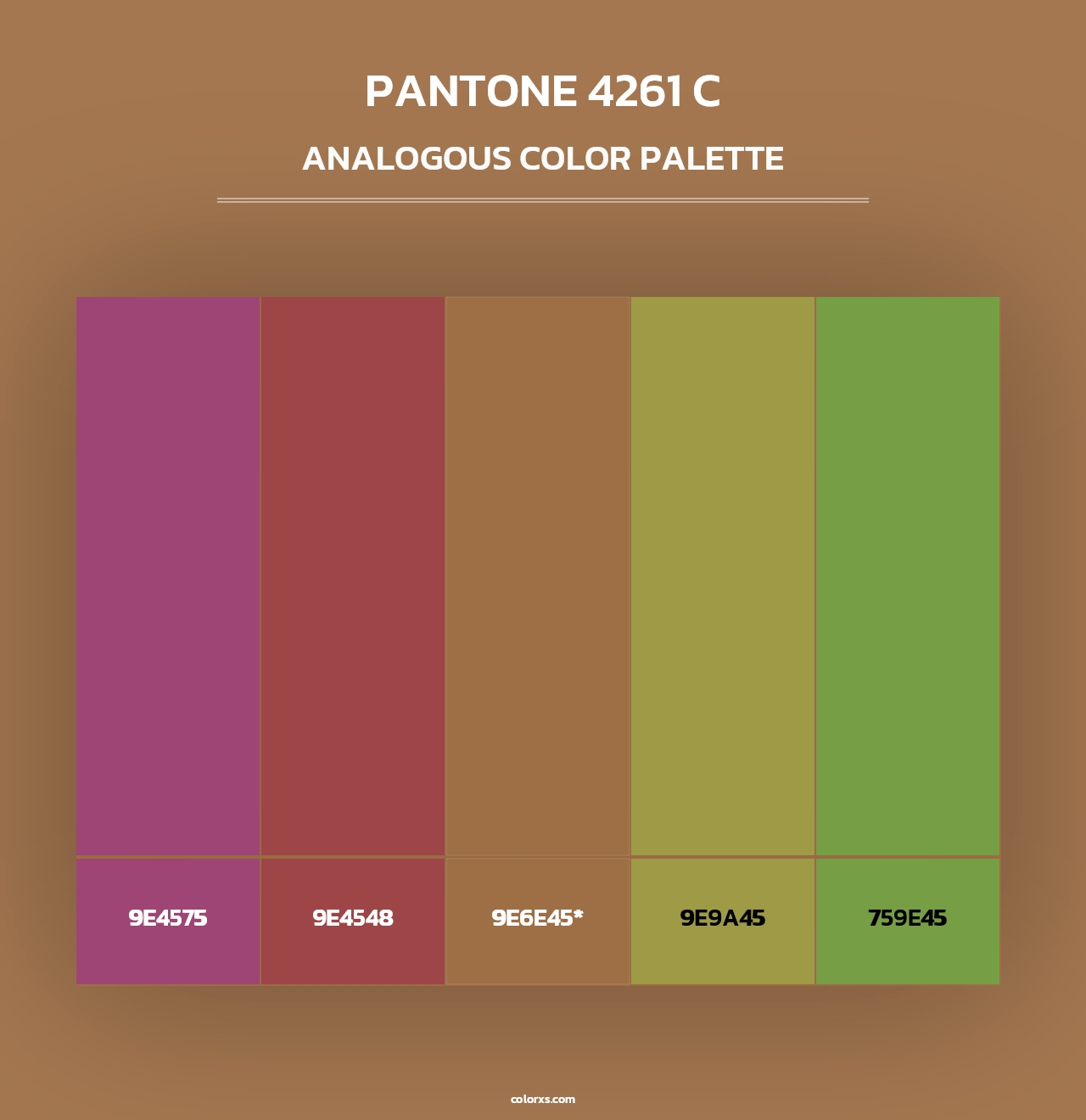 PANTONE 4261 C - Analogous Color Palette