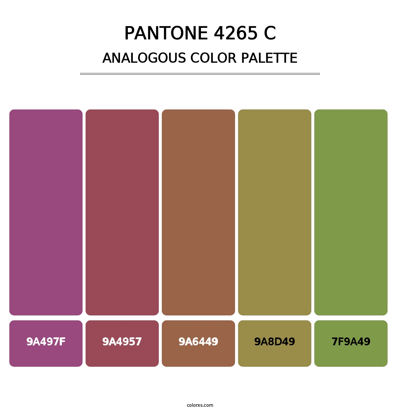 PANTONE 4265 C - Analogous Color Palette