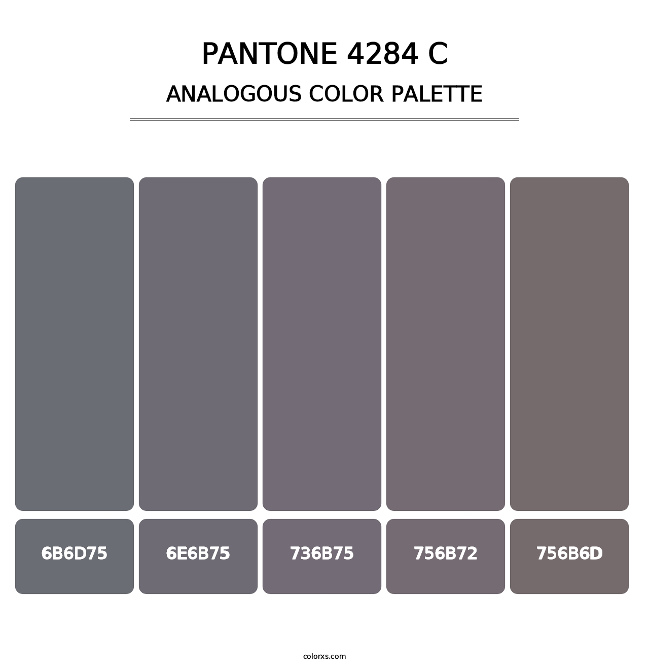 PANTONE 4284 C - Analogous Color Palette