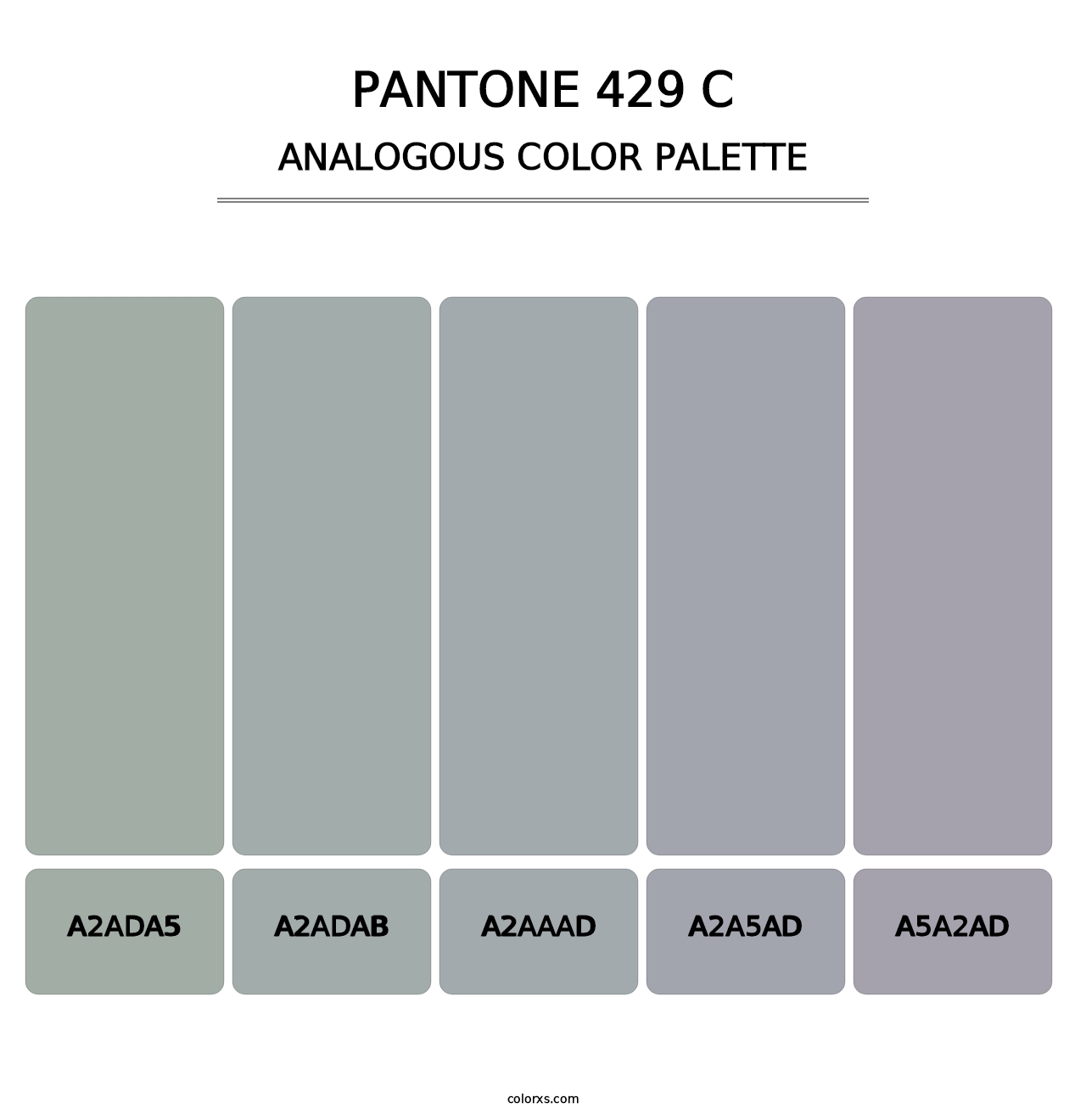 PANTONE 429 C - Analogous Color Palette