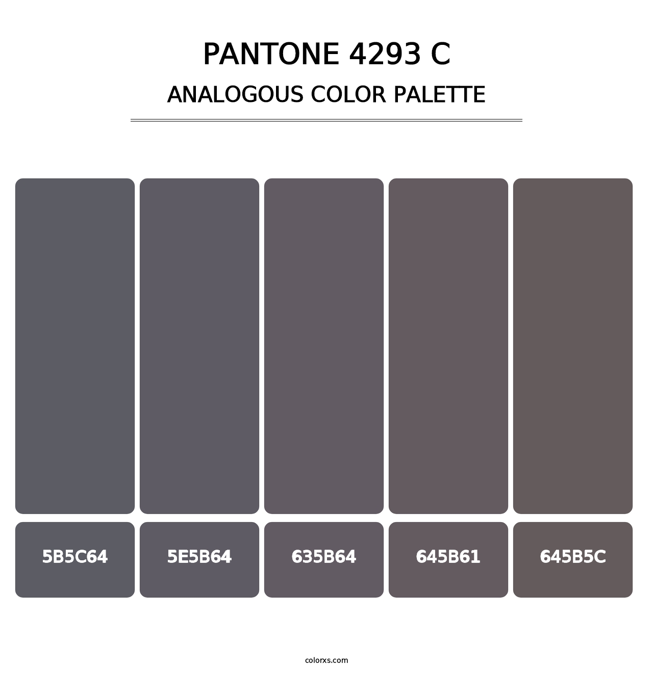PANTONE 4293 C - Analogous Color Palette