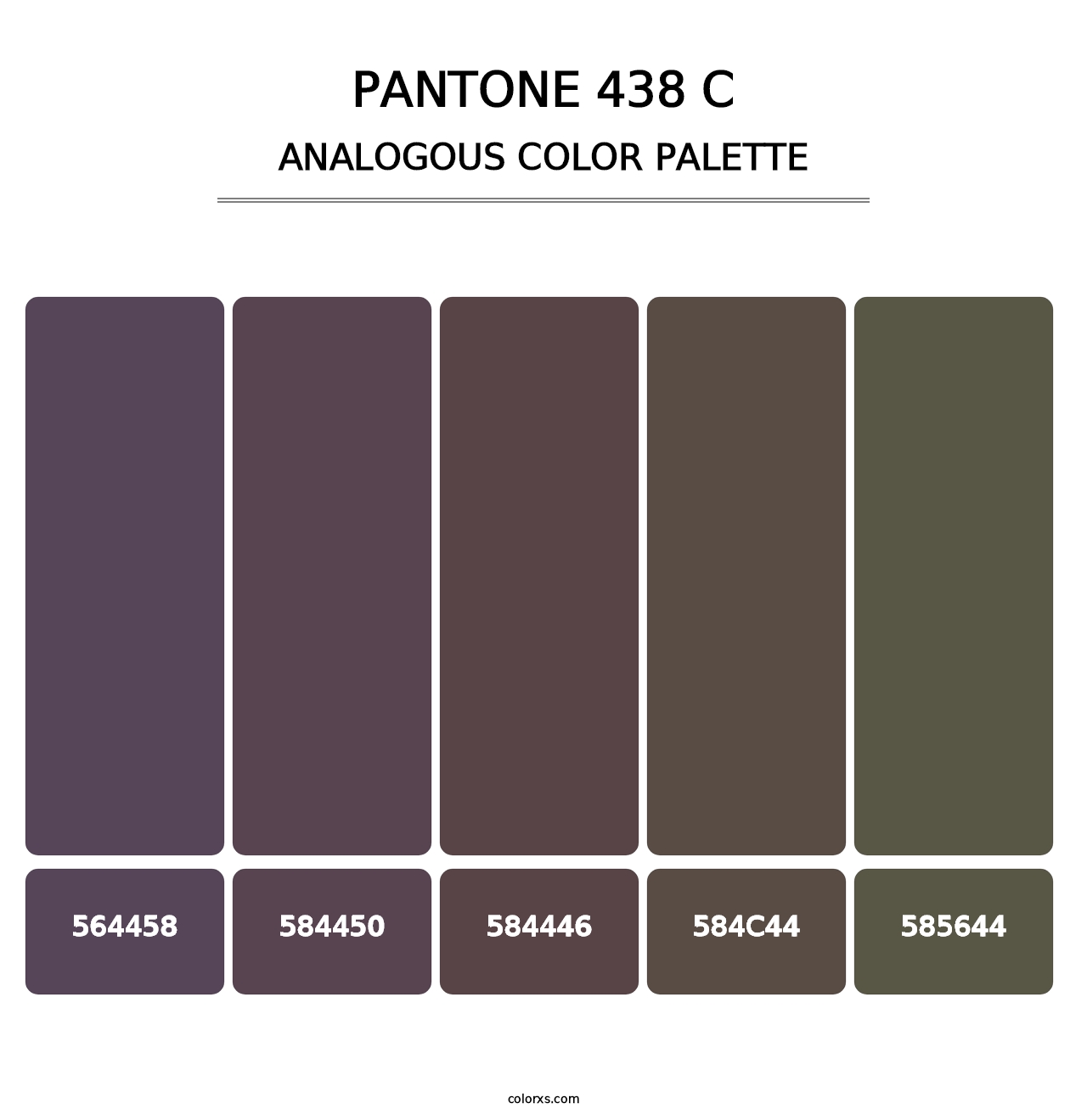 PANTONE 438 C - Analogous Color Palette