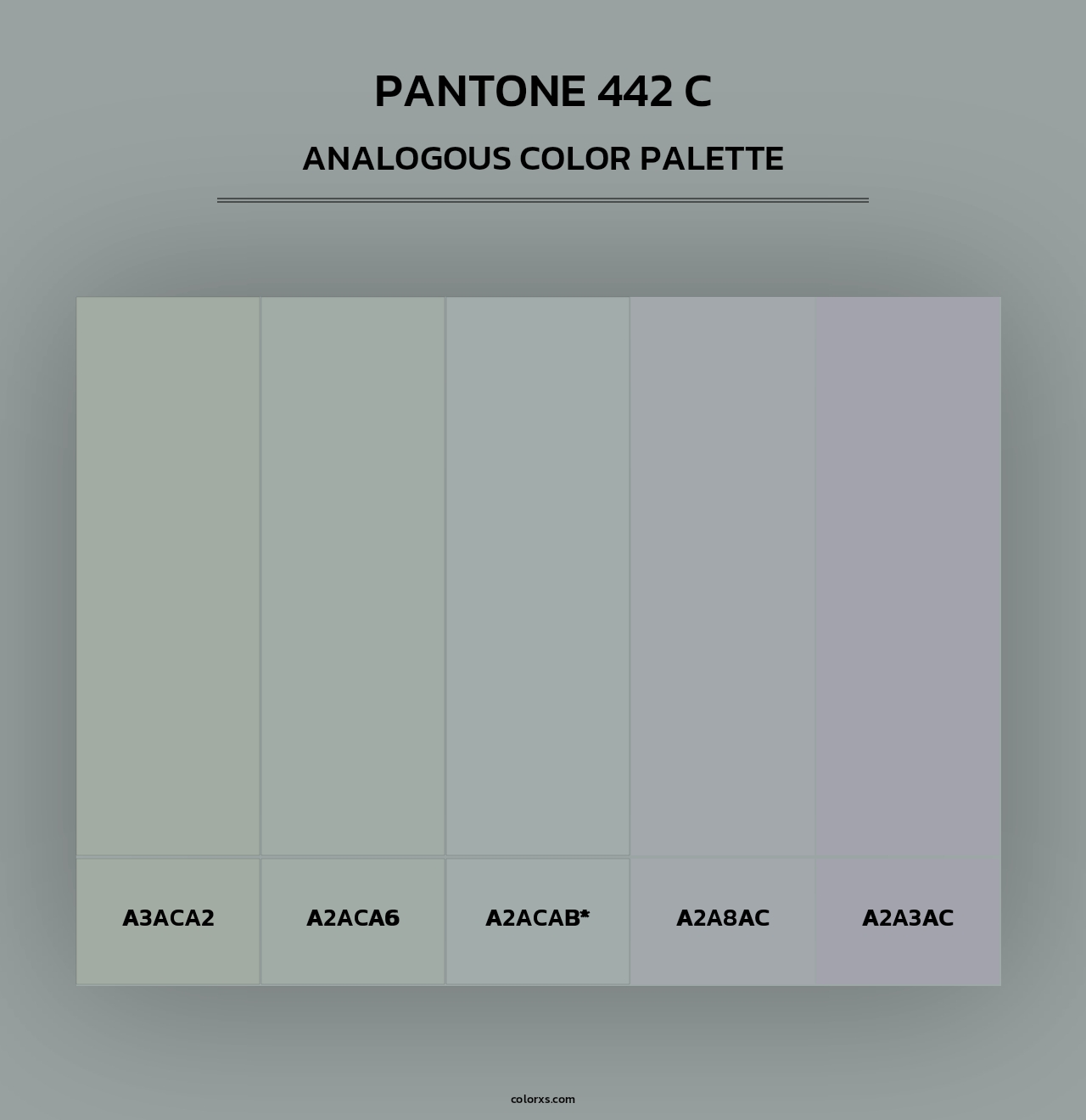 PANTONE 442 C - Analogous Color Palette