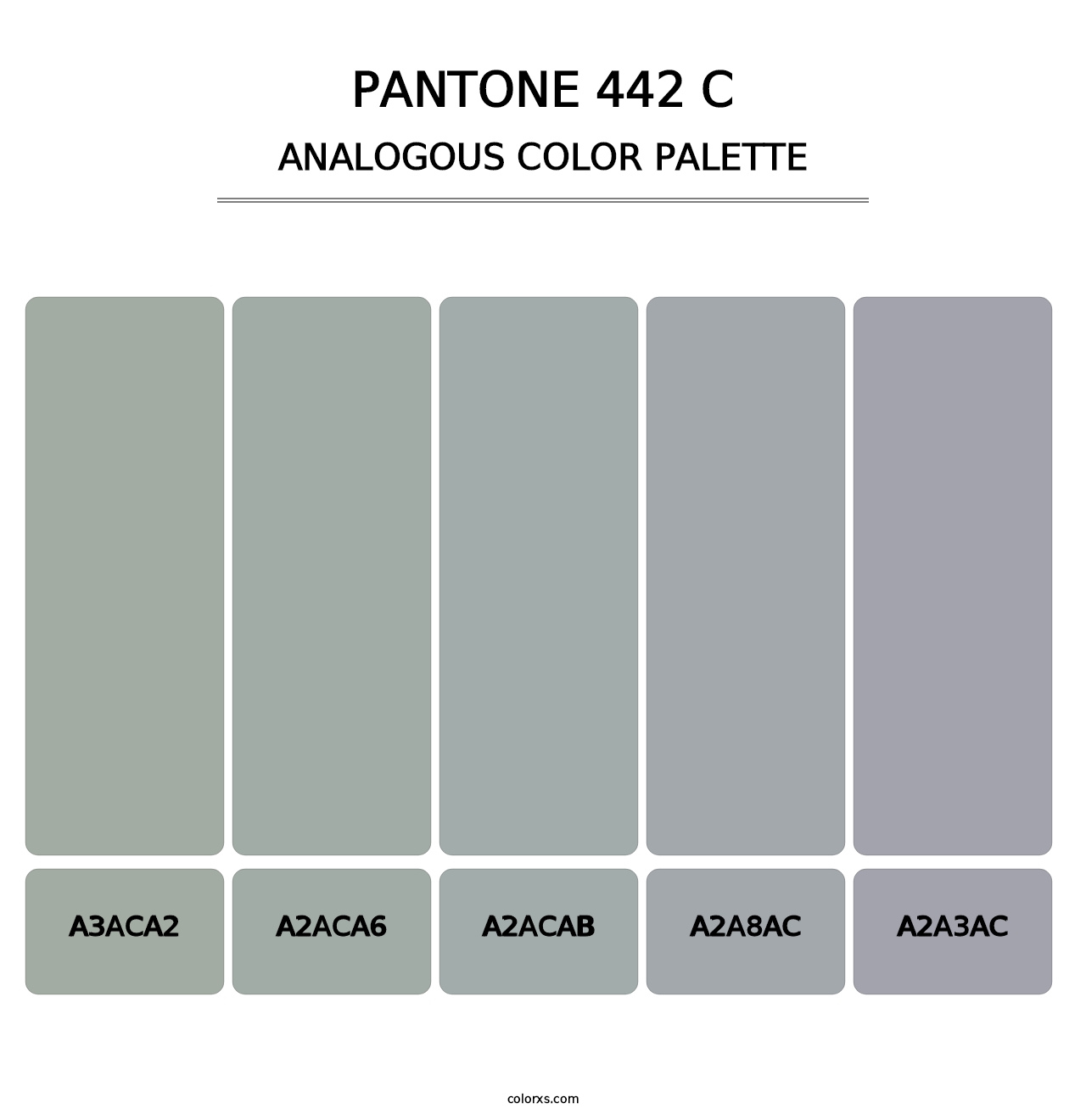 PANTONE 442 C - Analogous Color Palette
