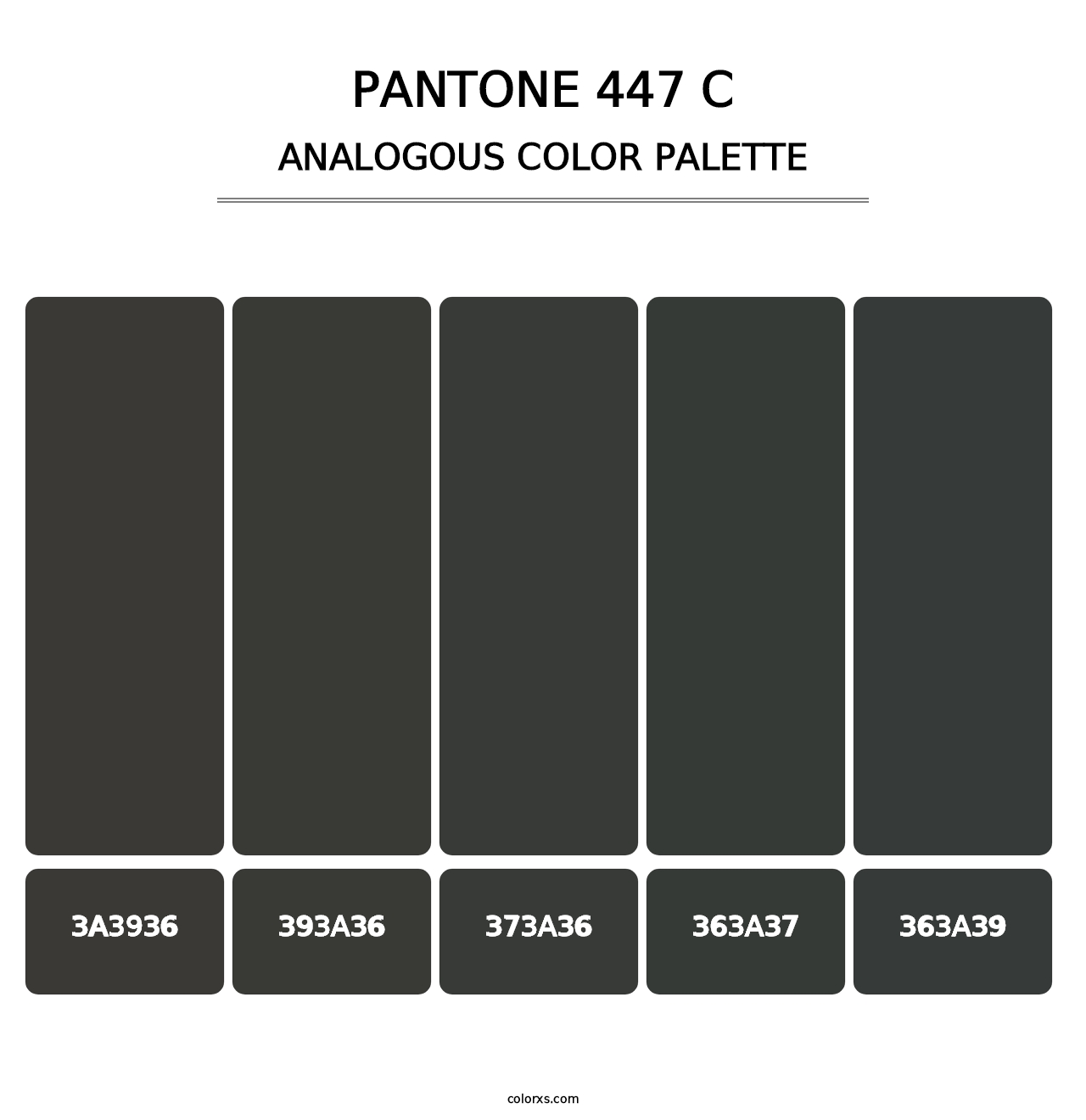 PANTONE 447 C - Analogous Color Palette