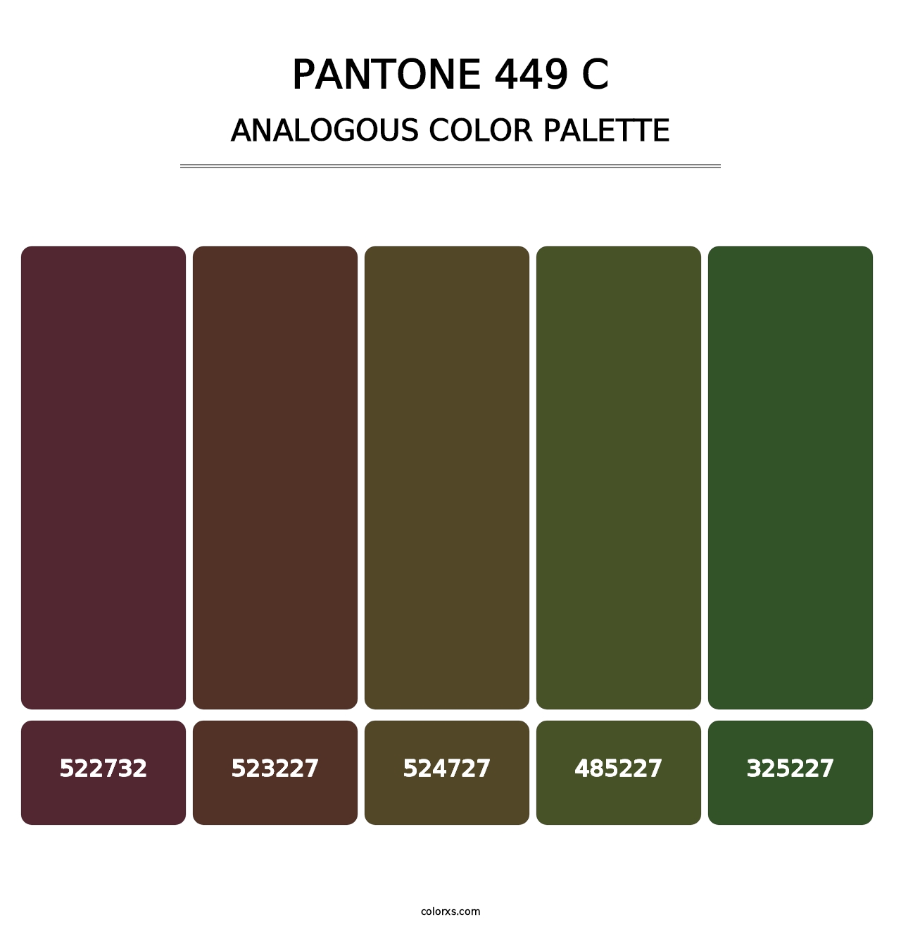 PANTONE 449 C - Analogous Color Palette