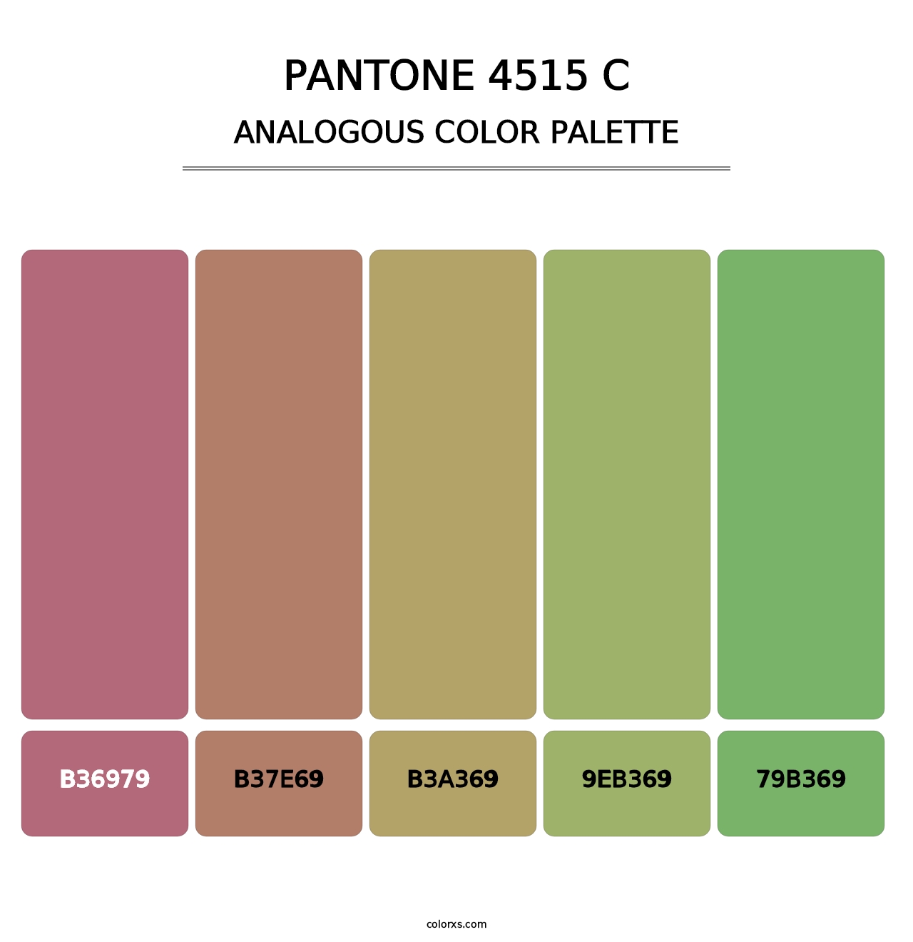 PANTONE 4515 C - Analogous Color Palette