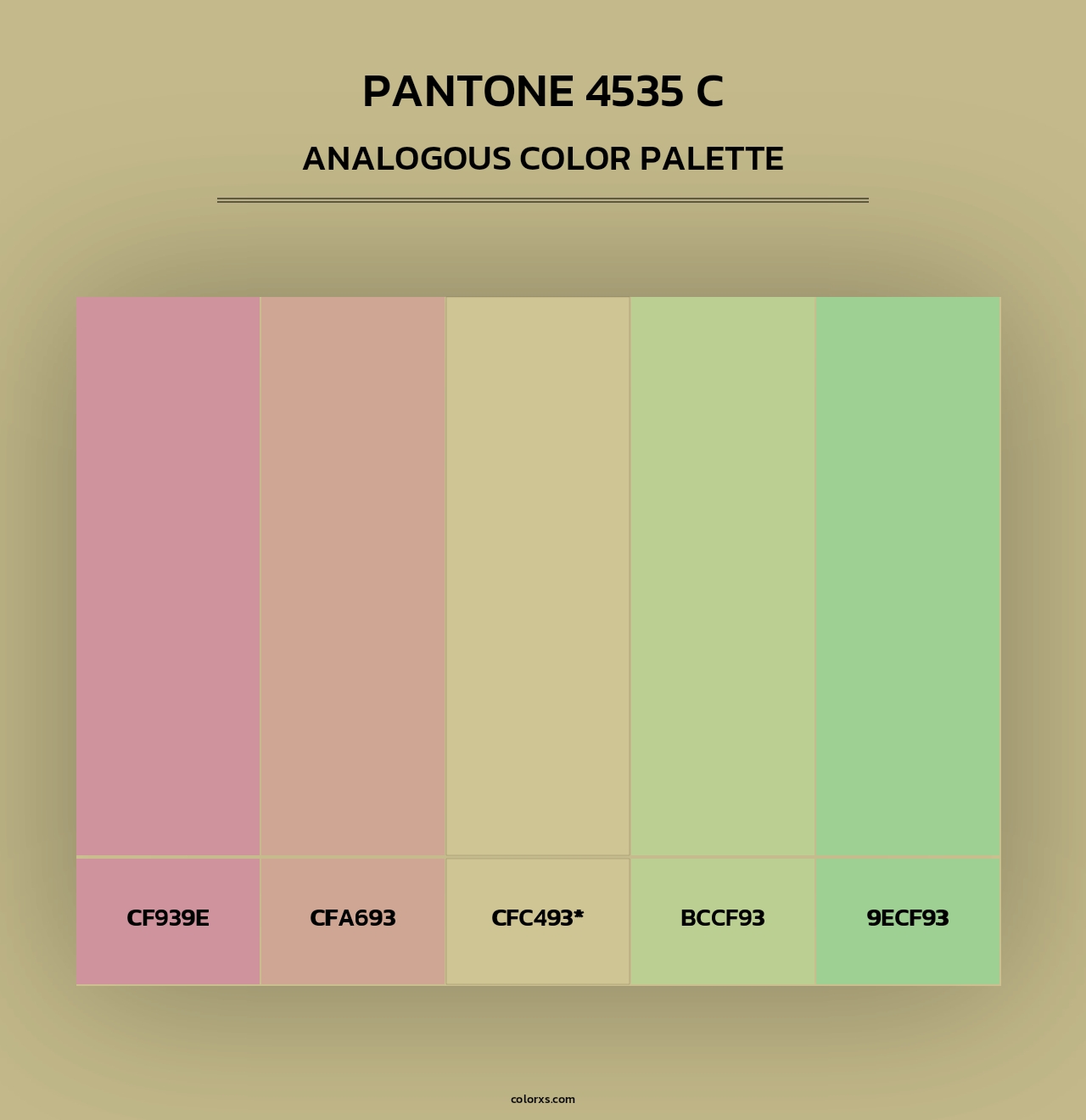 PANTONE 4535 C - Analogous Color Palette
