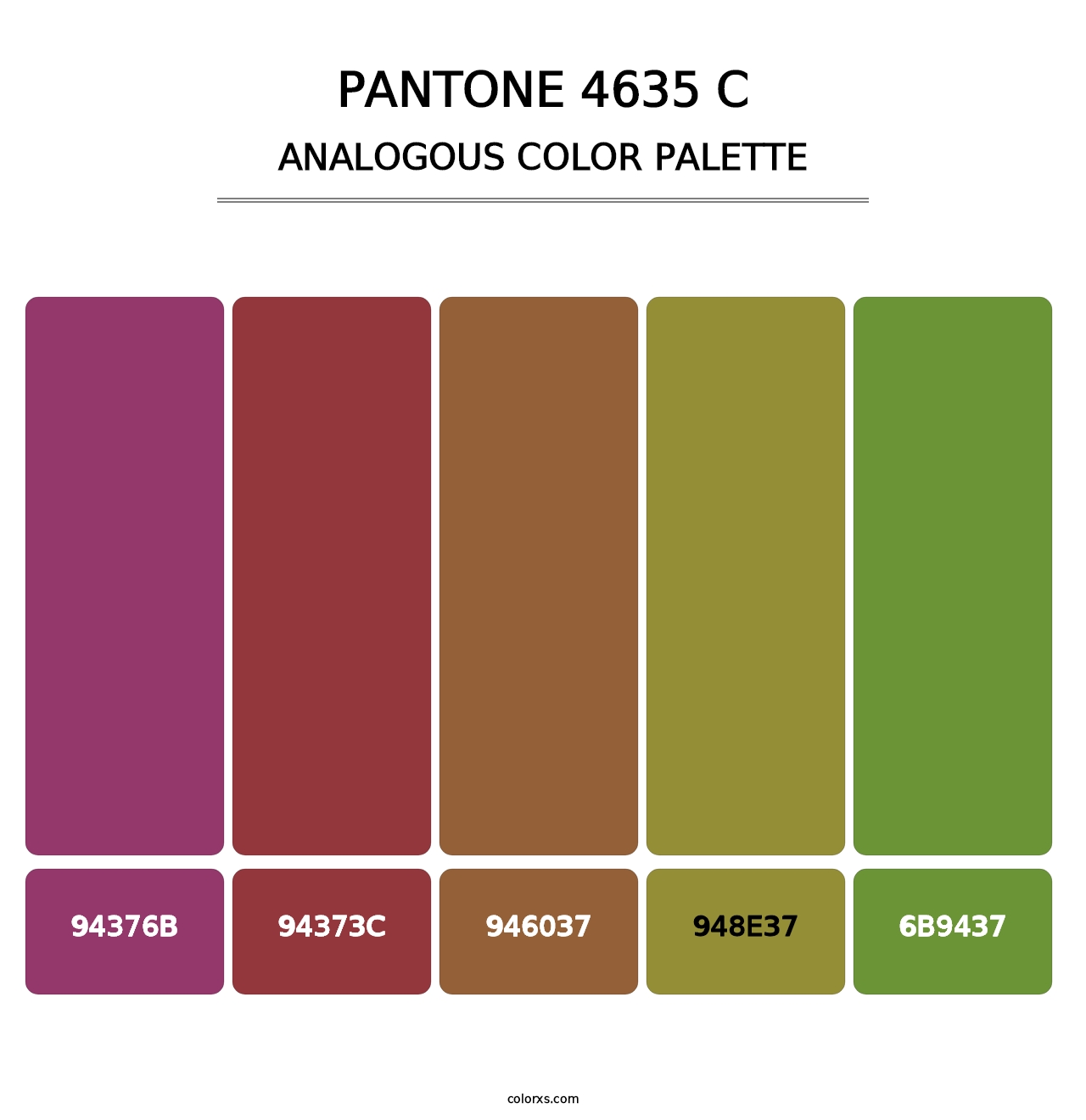 PANTONE 4635 C - Analogous Color Palette