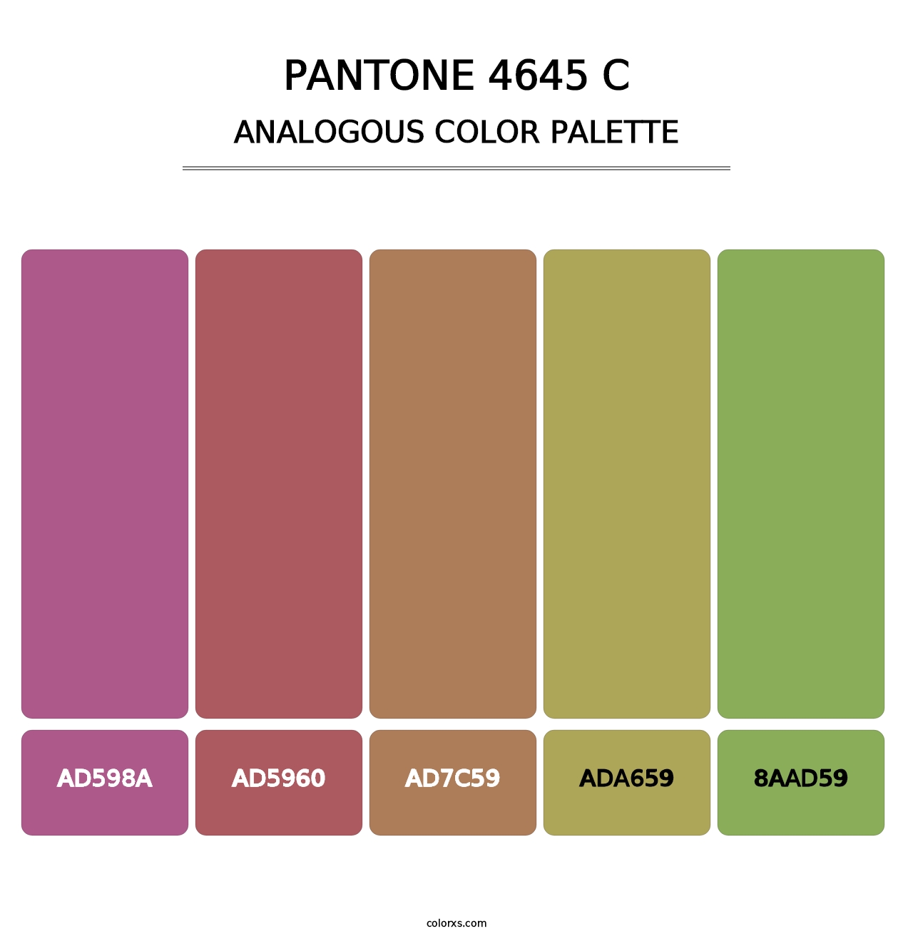 PANTONE 4645 C - Analogous Color Palette