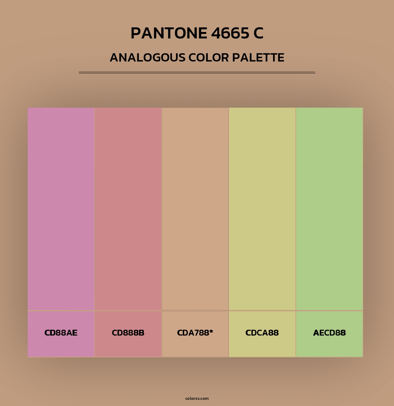 PANTONE 4665 C - Analogous Color Palette