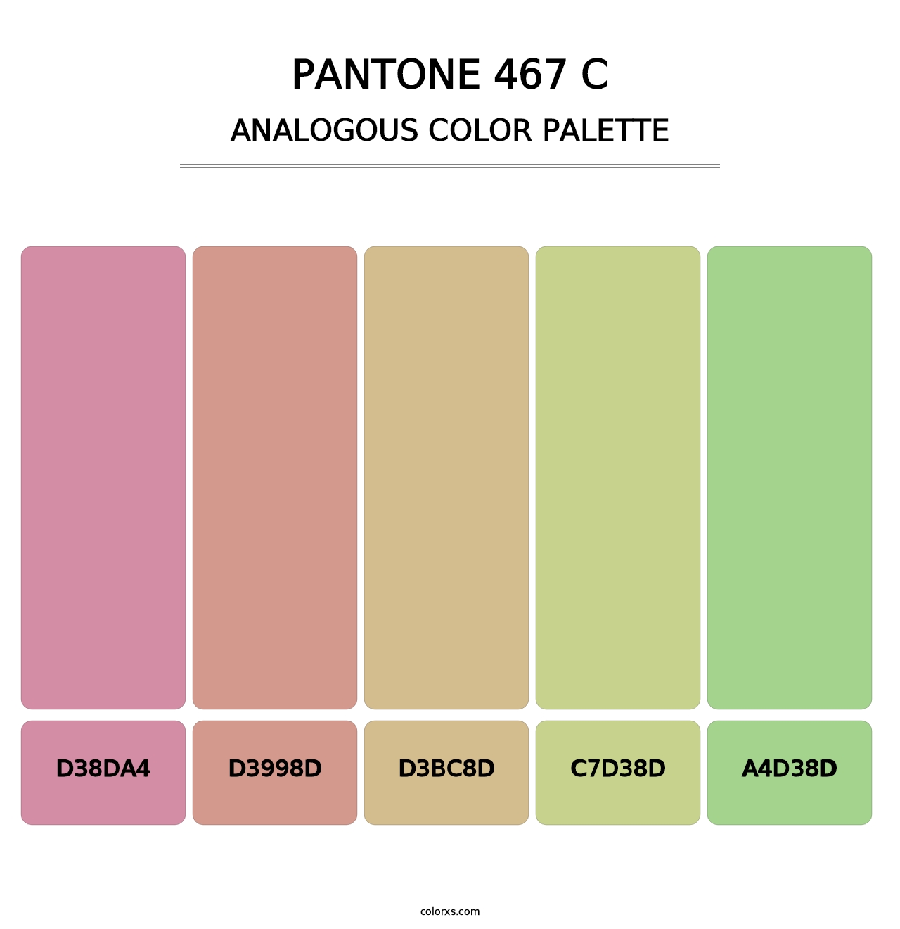 PANTONE 467 C - Analogous Color Palette