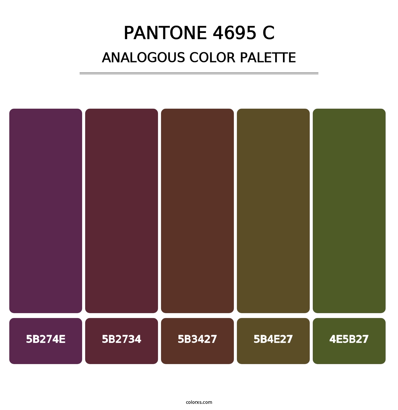 PANTONE 4695 C - Analogous Color Palette