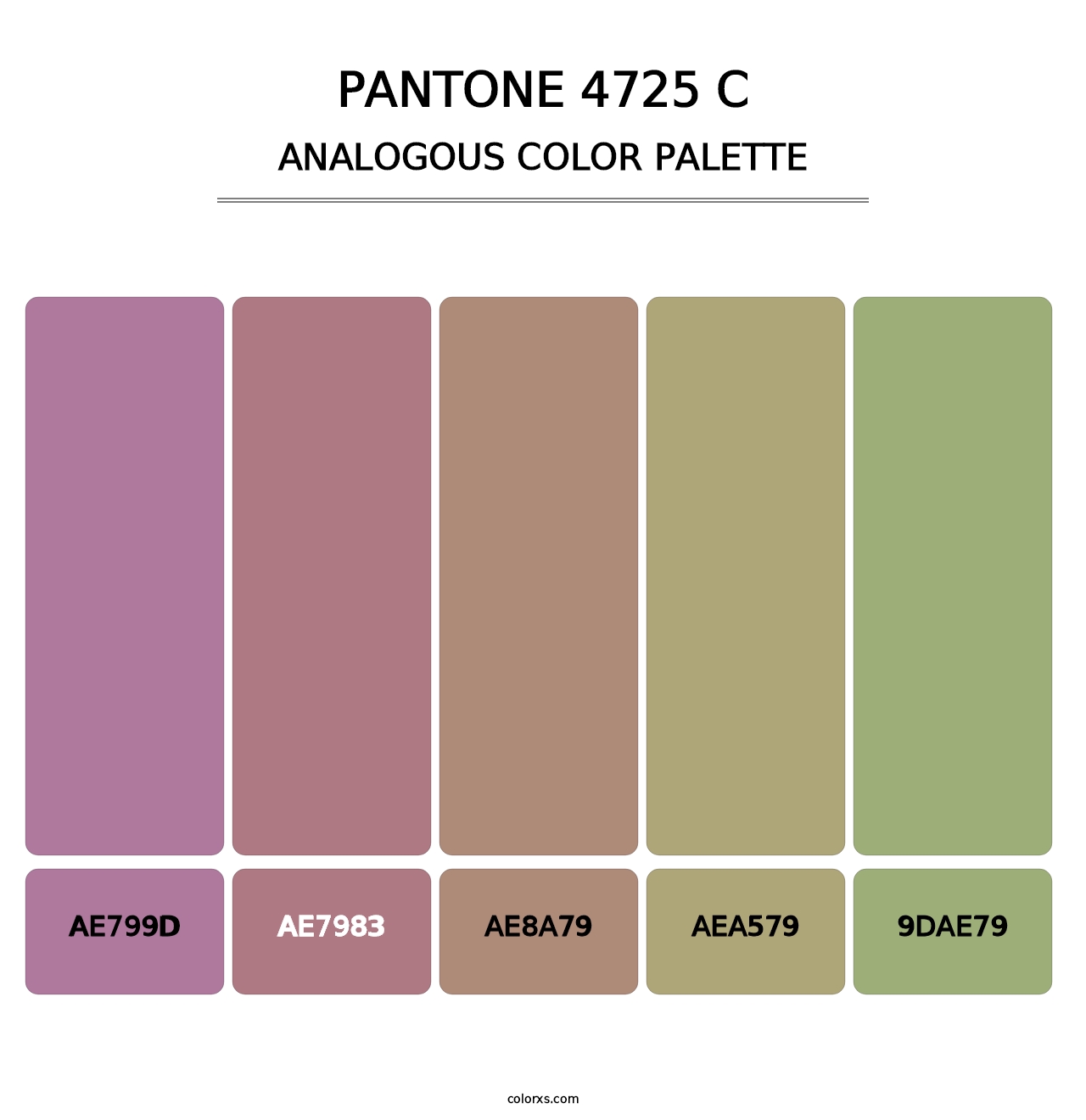 PANTONE 4725 C - Analogous Color Palette