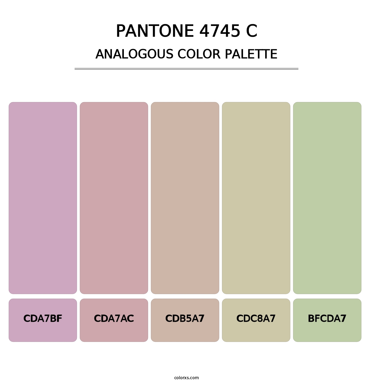 PANTONE 4745 C - Analogous Color Palette