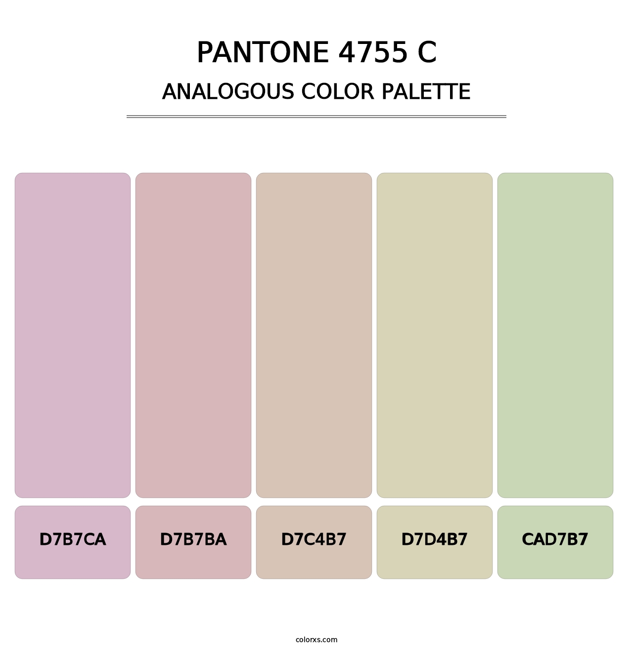 PANTONE 4755 C - Analogous Color Palette