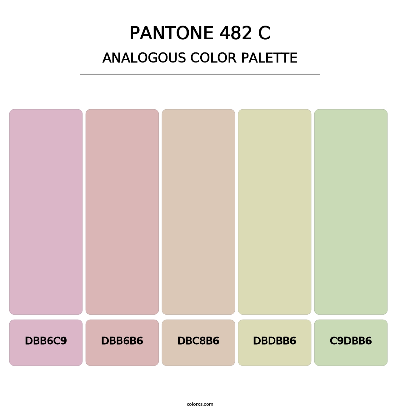 PANTONE 482 C - Analogous Color Palette