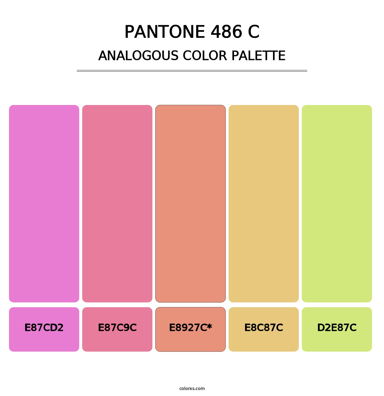 PANTONE 486 C - Analogous Color Palette
