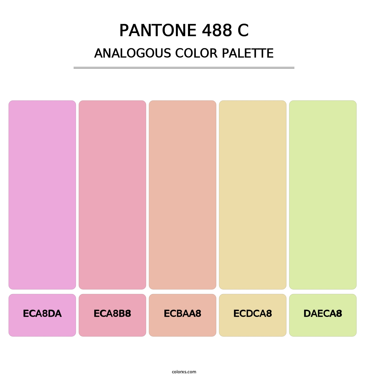 PANTONE 488 C - Analogous Color Palette