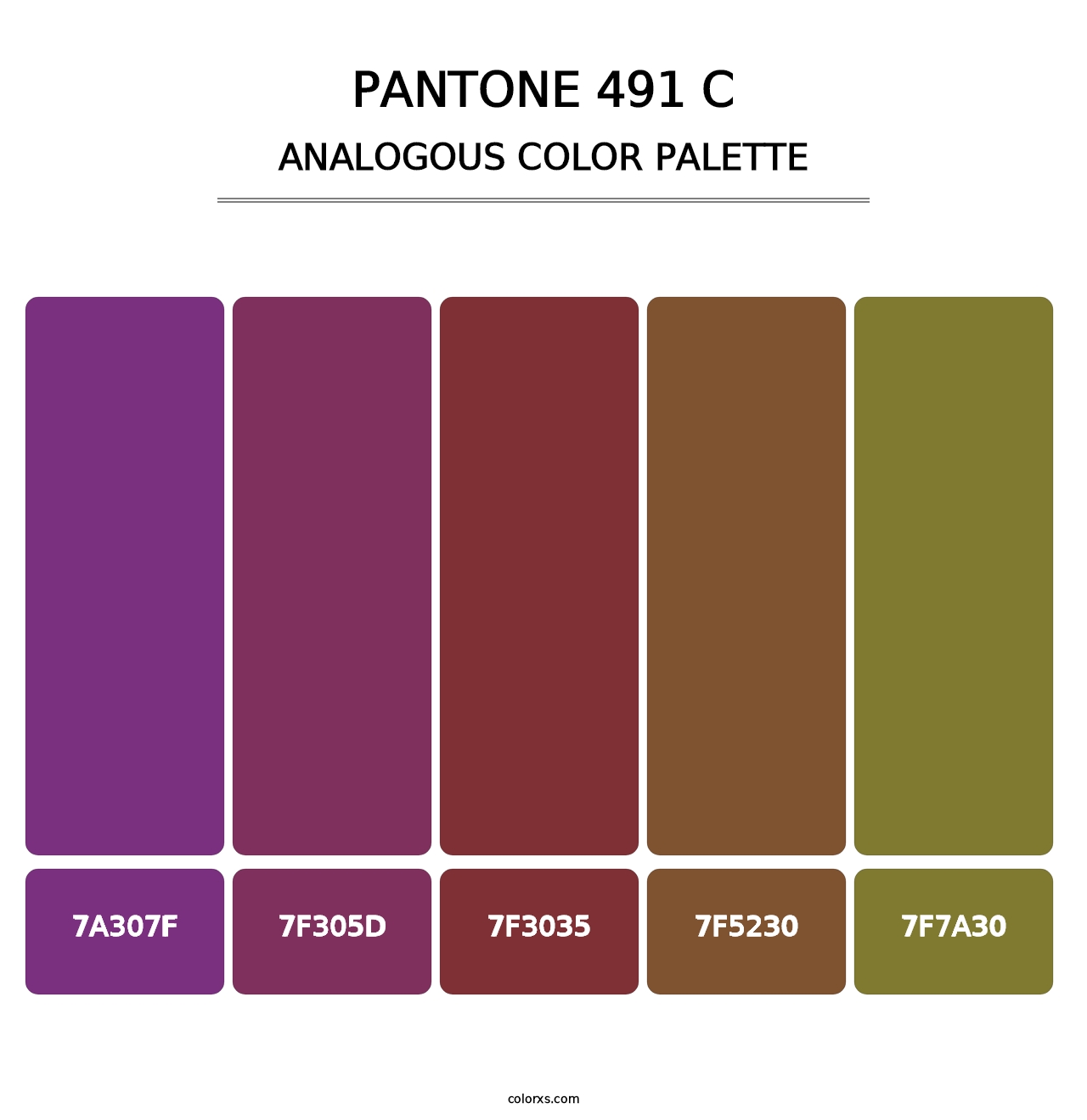 PANTONE 491 C - Analogous Color Palette