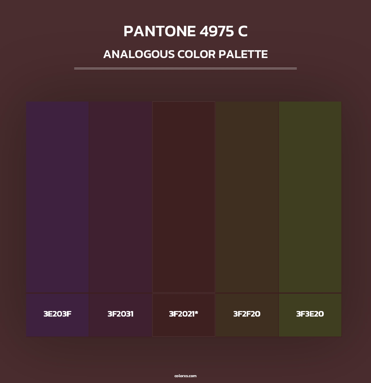 PANTONE 4975 C - Analogous Color Palette