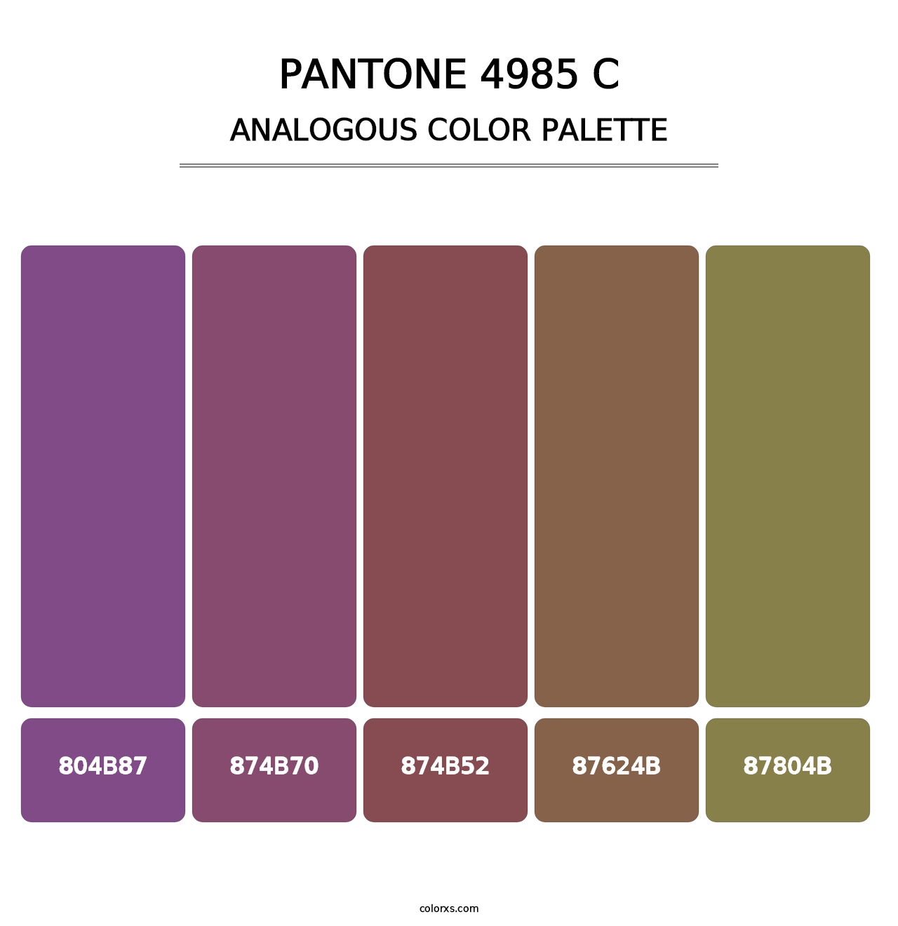 PANTONE 4985 C - Analogous Color Palette
