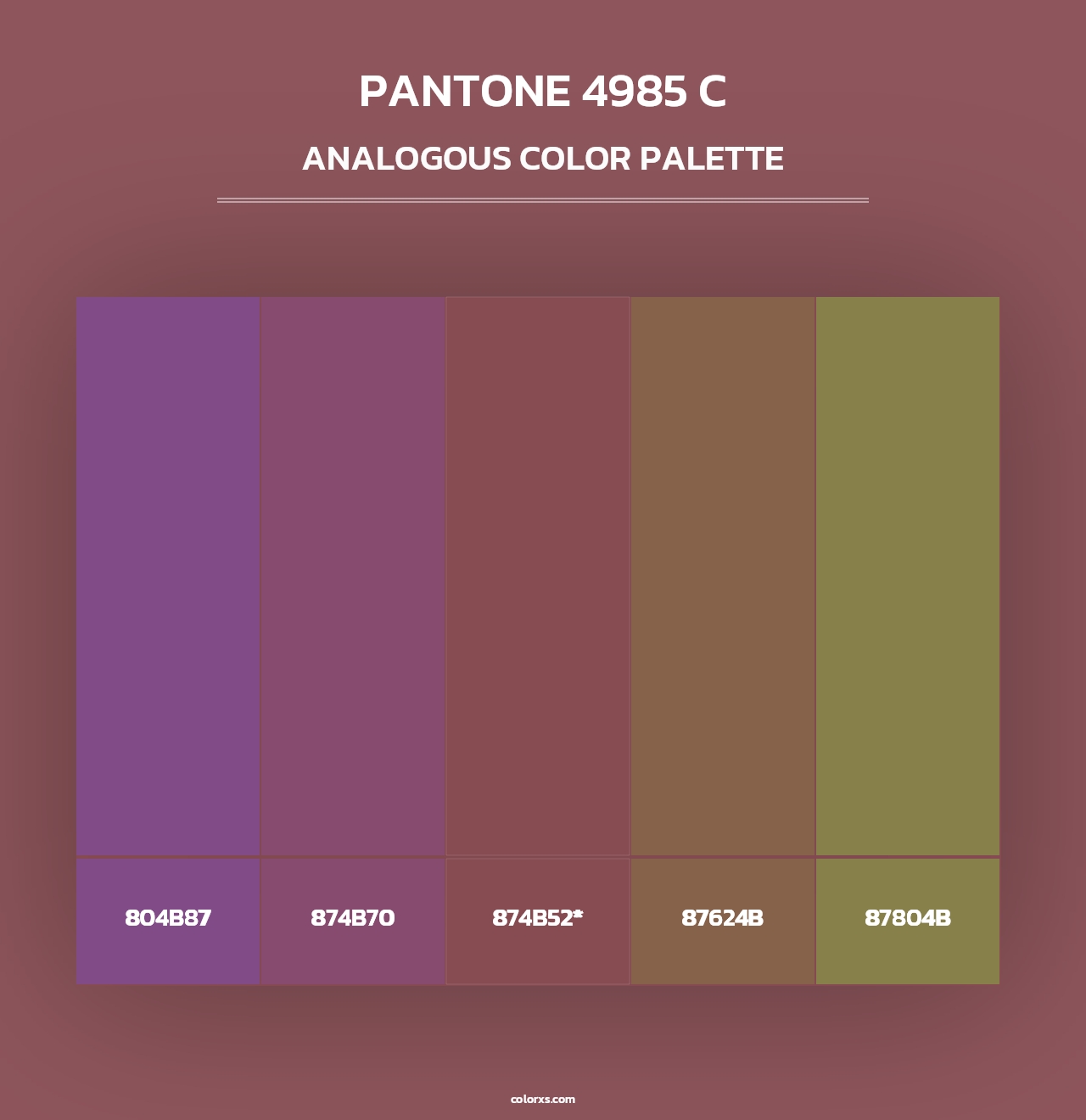 PANTONE 4985 C - Analogous Color Palette
