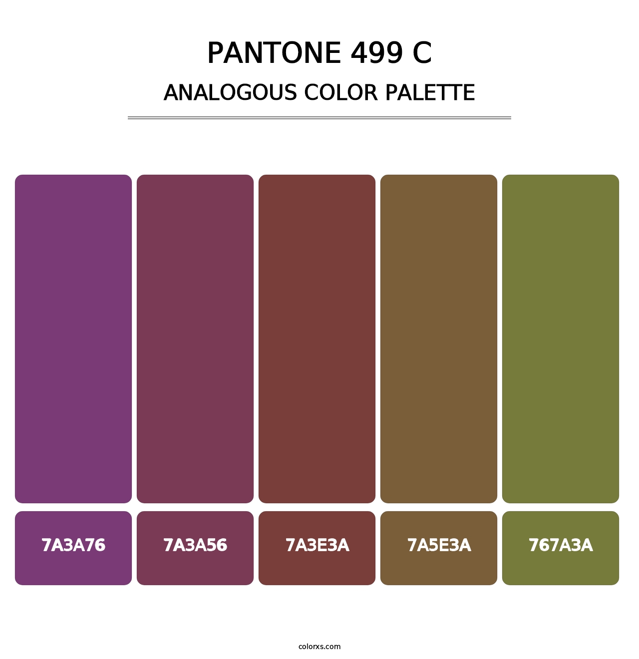 PANTONE 499 C - Analogous Color Palette